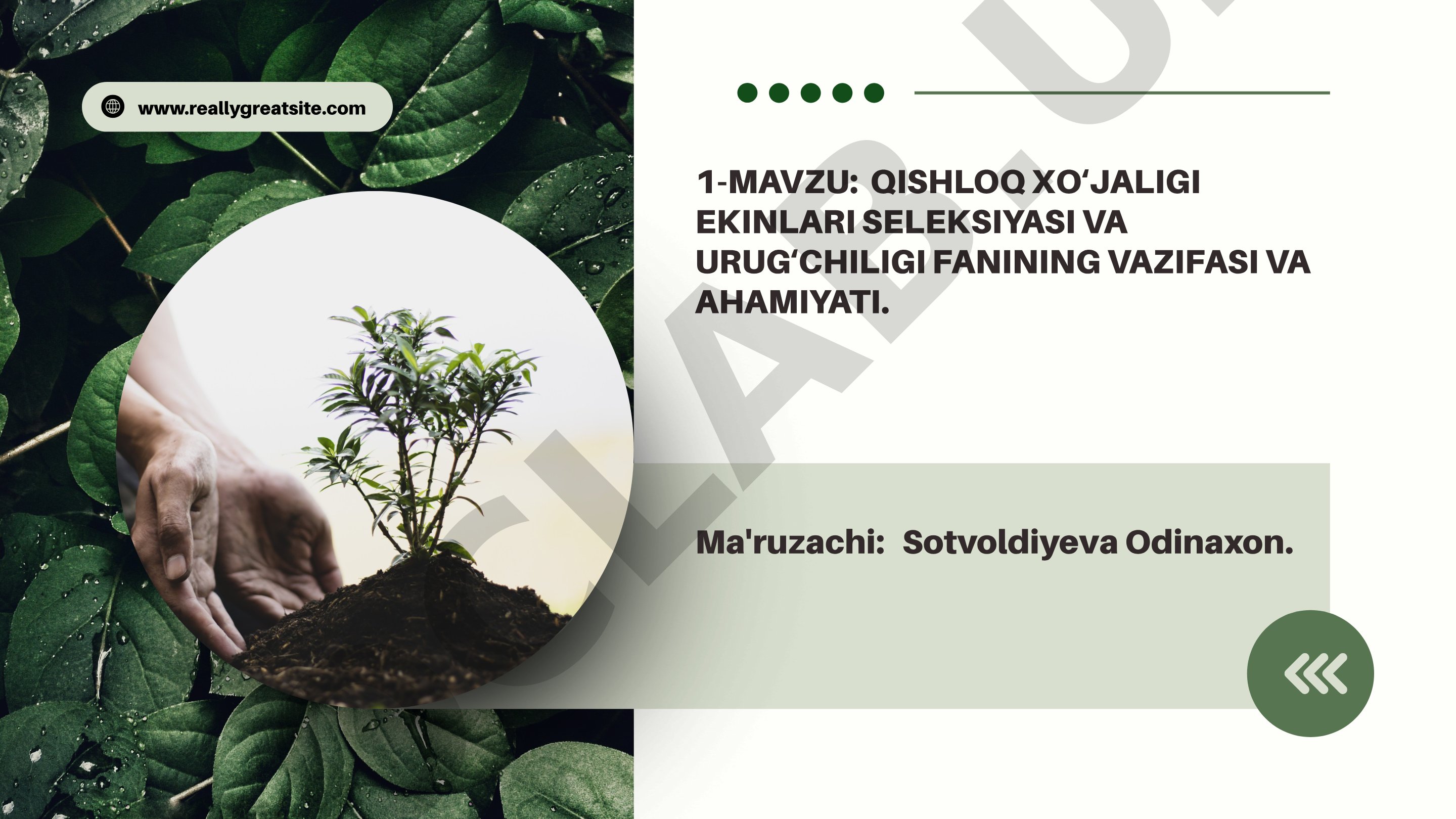 Qishloq xo'jaligi ekinlari seleksiyasi va urug'chiligi fanining vazifasi va ahamiyati