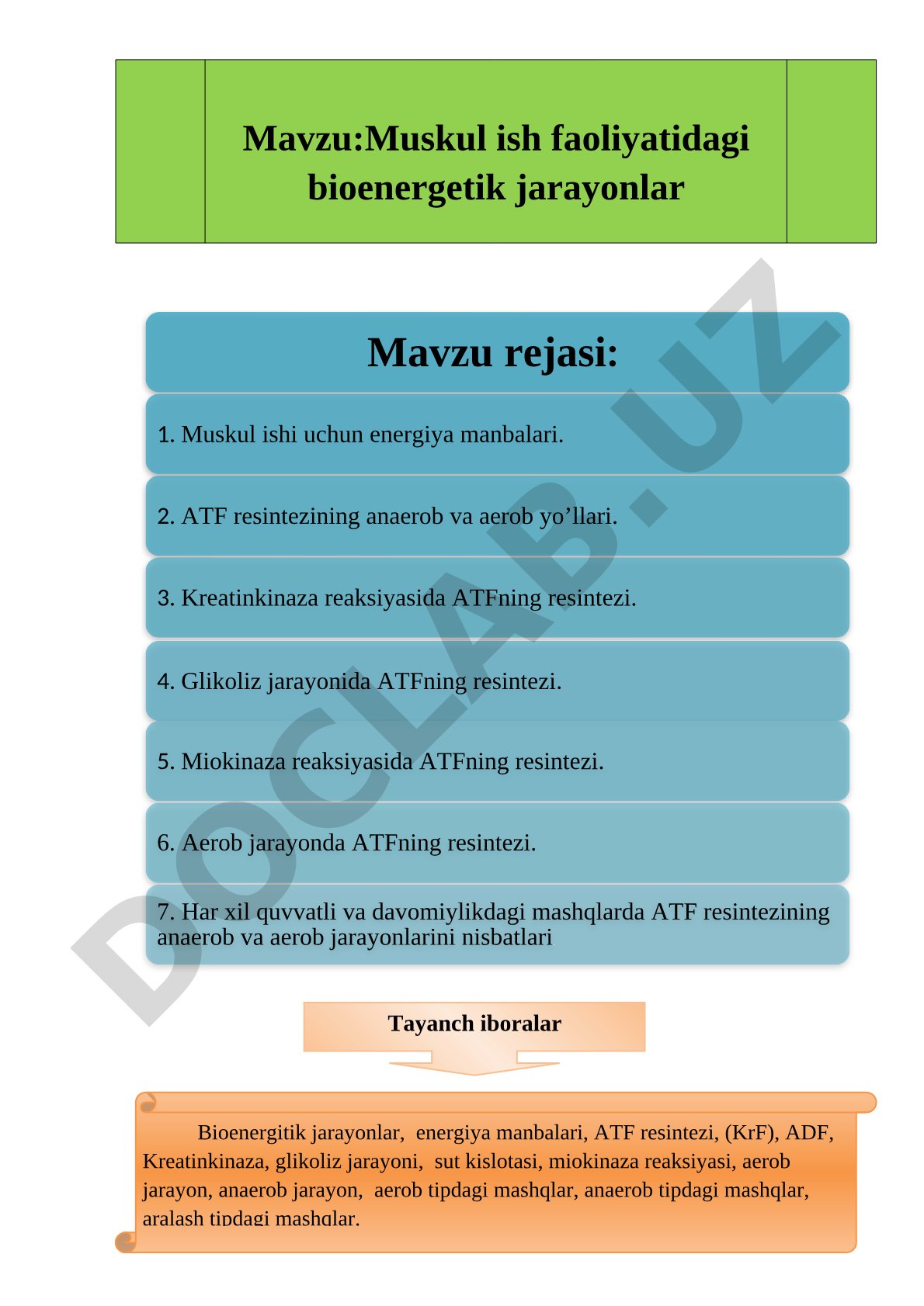 Muskul ish faoliyatidagi bioenergetik jarayonlar