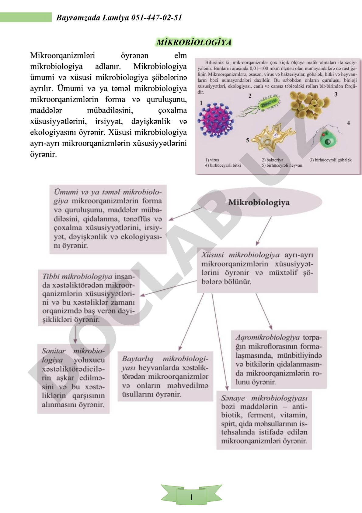 Mikrobiologiya