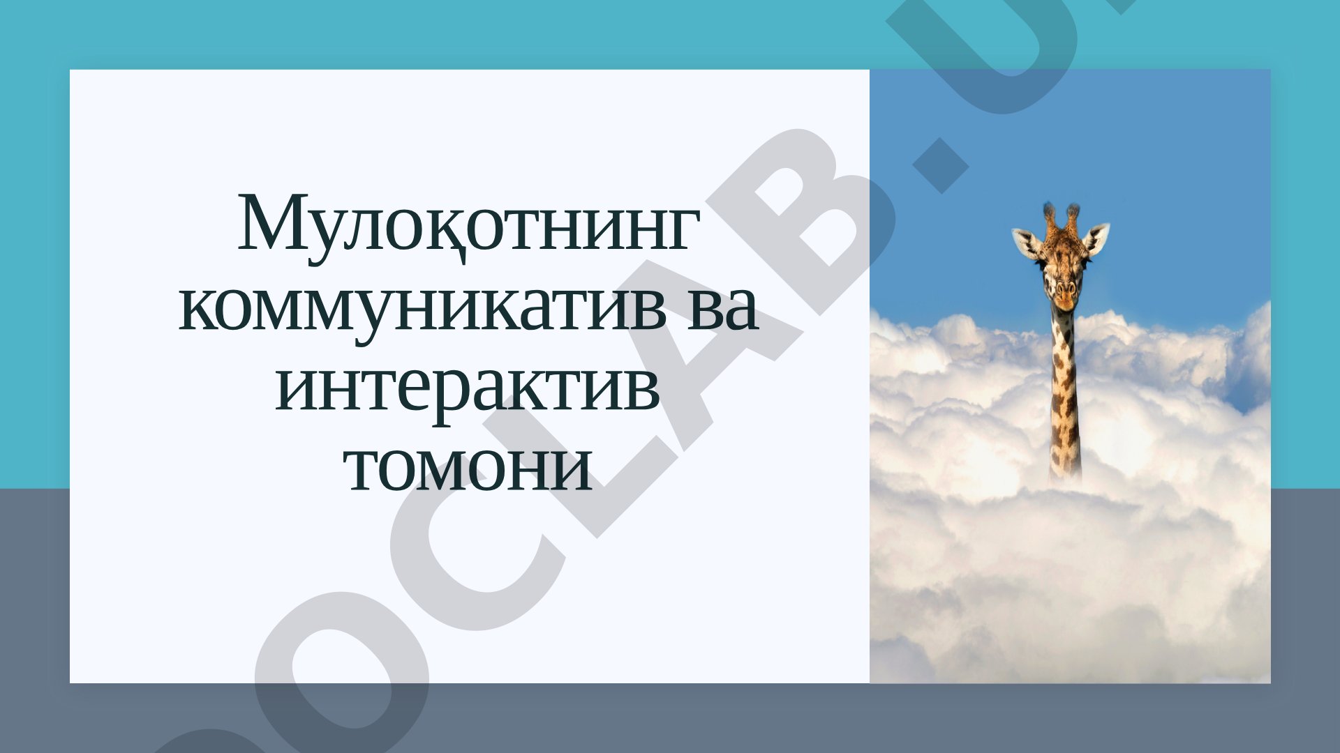 Мулоқотнинг коммуникатив ва интерактив томони