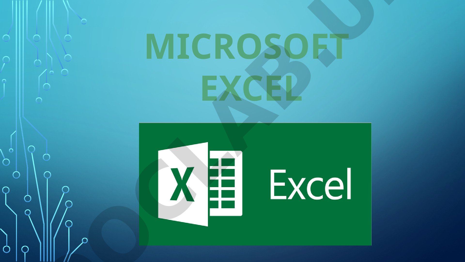 Microsoft Excel