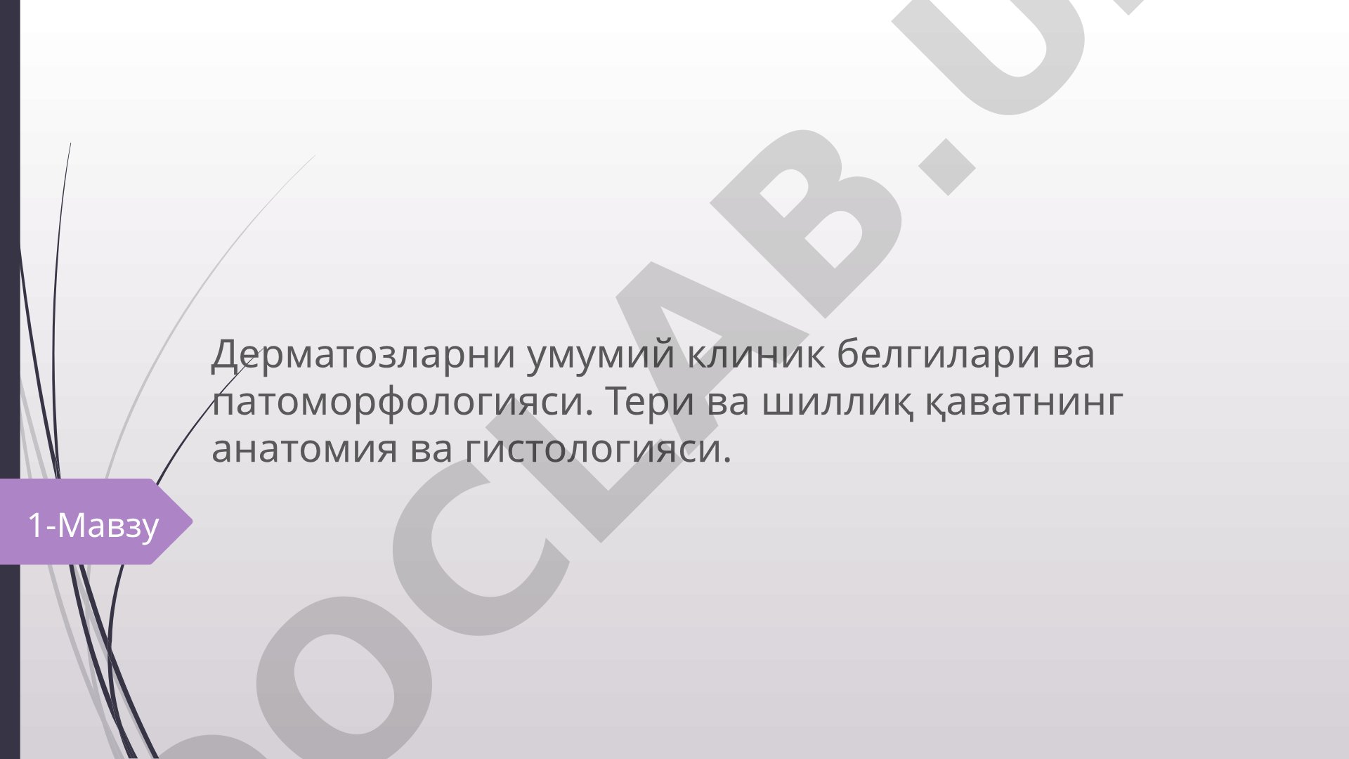 Дерматозларни умумий клиник белгилари ва патоморфологияси, тери ва шиллиқ қаватнинг анатомияси ва гистологияси