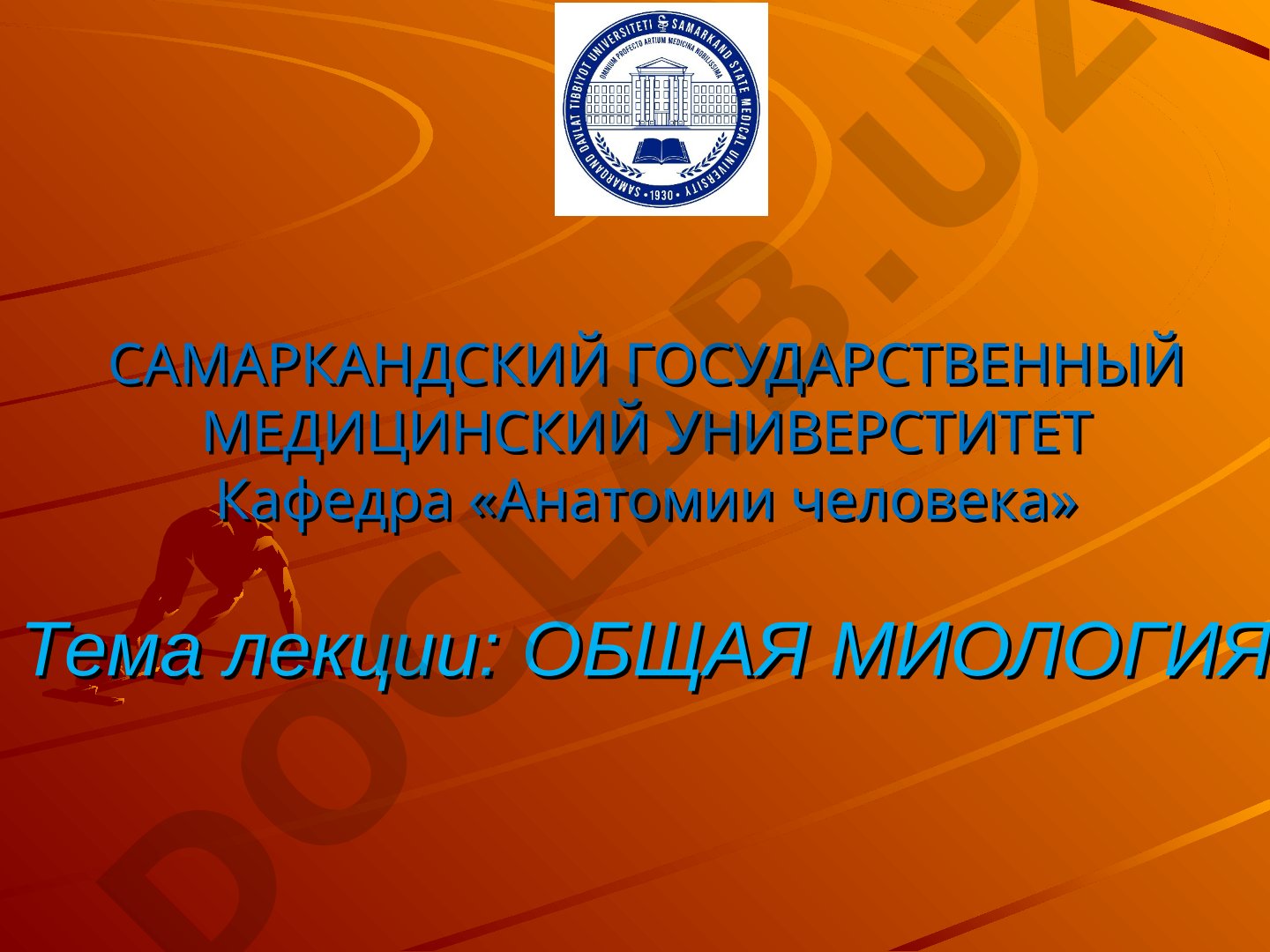 Общая миология: скелетные мышцы, классификация, мышцы туловища и конечностей