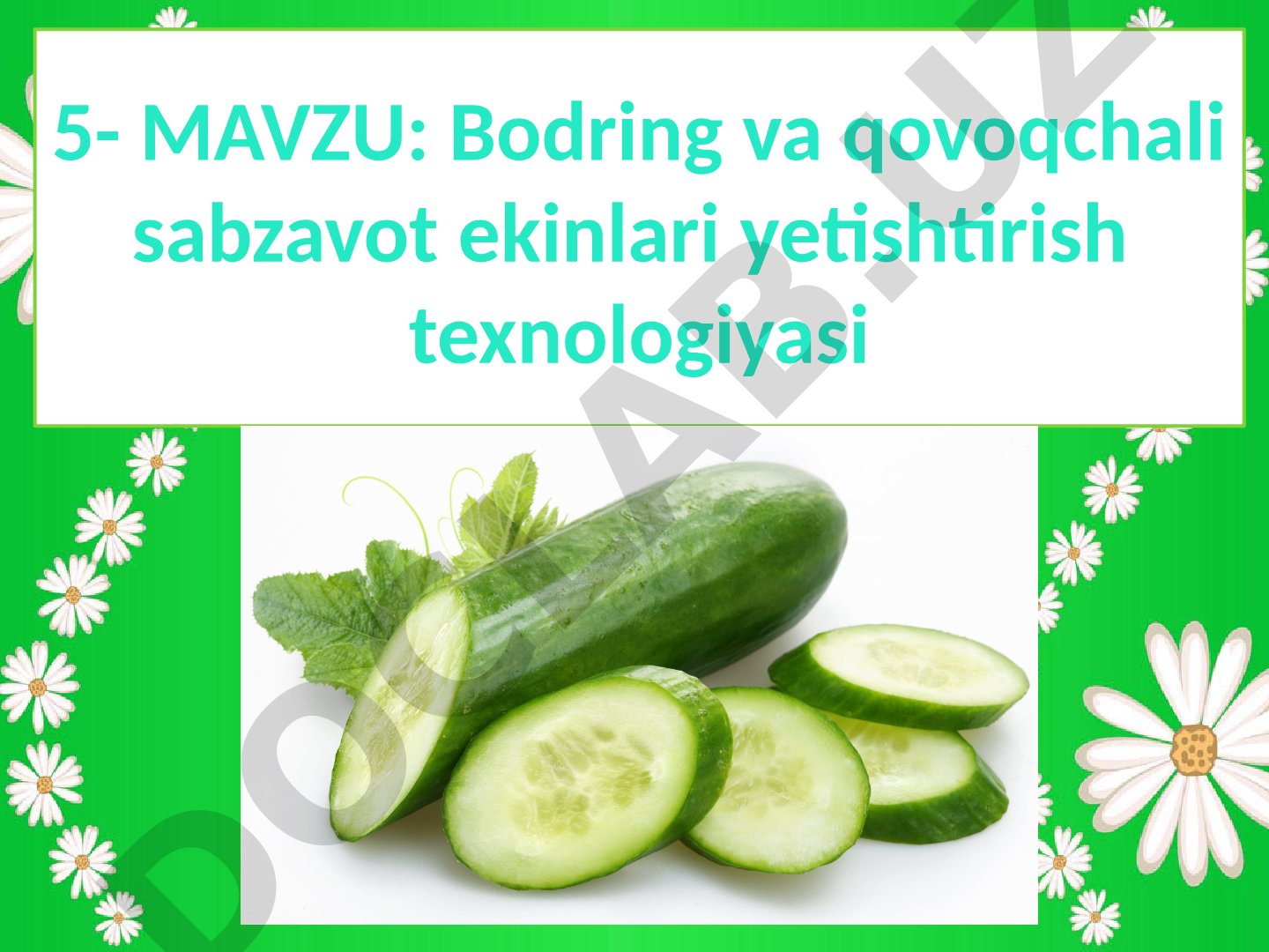Bodring va qovoqchali sabzavot ekinlari yetishtirish texnologiyasi