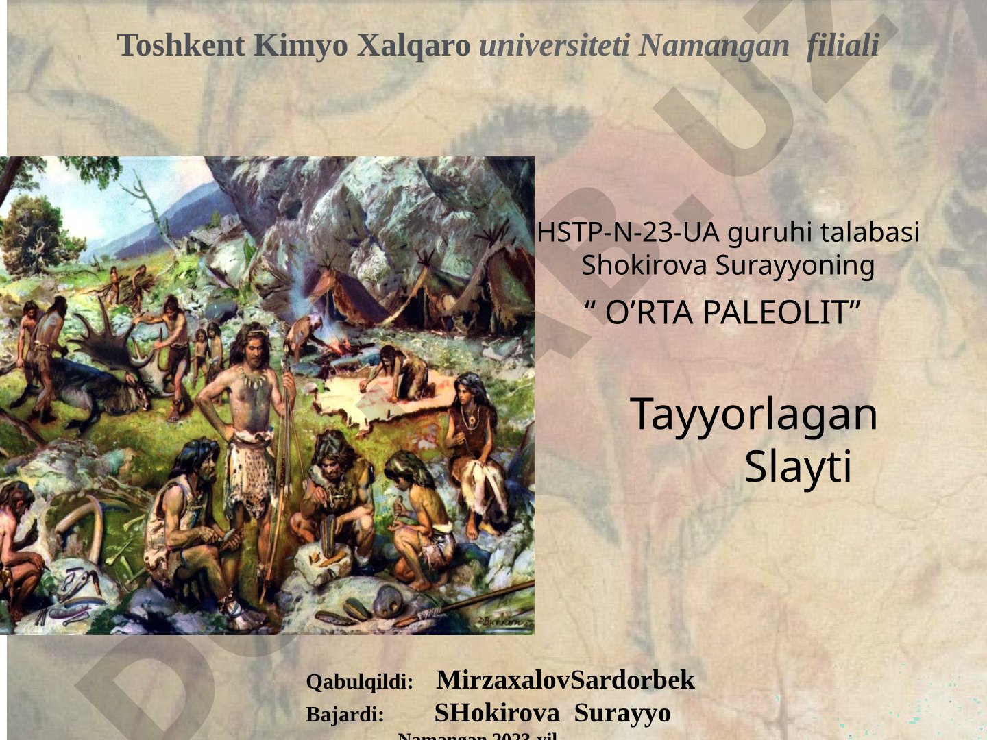 O'rta paleolit davri madaniyati, iqtisodiyoti, arxitekturasi va san'ati haqida