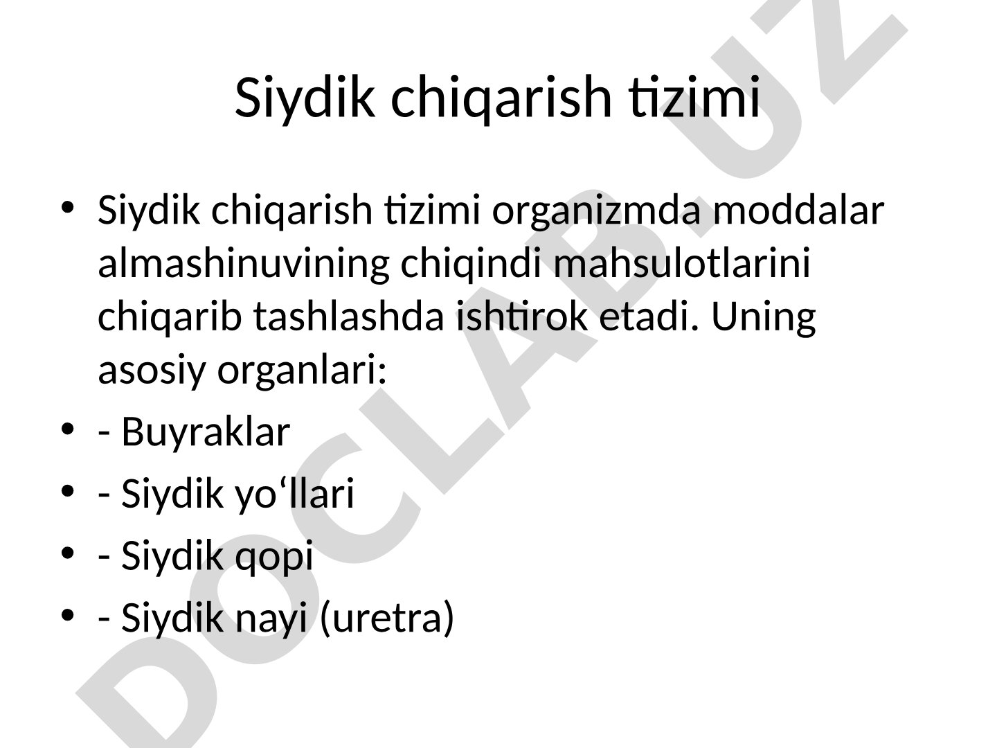 Siydik chiqarish tizimi: siydik qopi va siydik nayi anatomiyasi