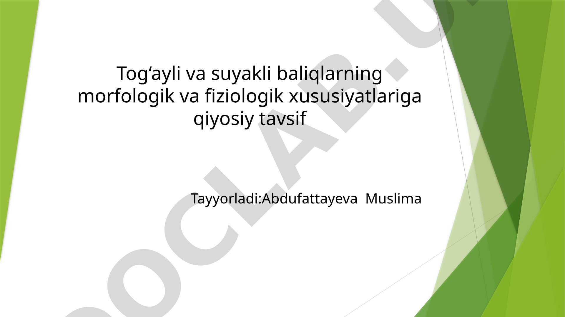 Tog'ayli va suyakli baliqlarning morfologik va fiziologik xususiyatlariga qiyosiy tavsif