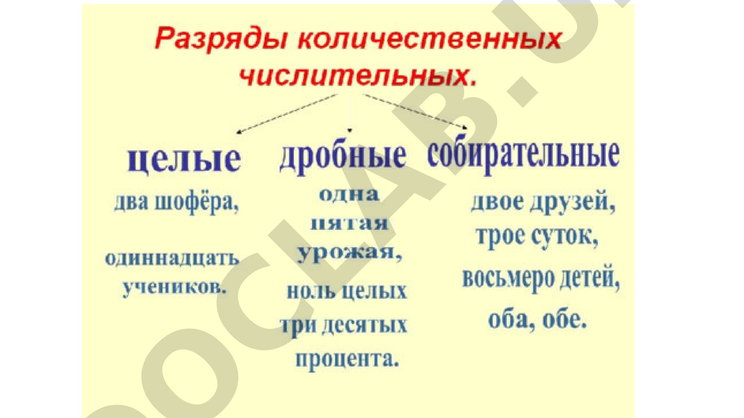 Заключительная благодарность за внимание от Асадбека Абдурахманова