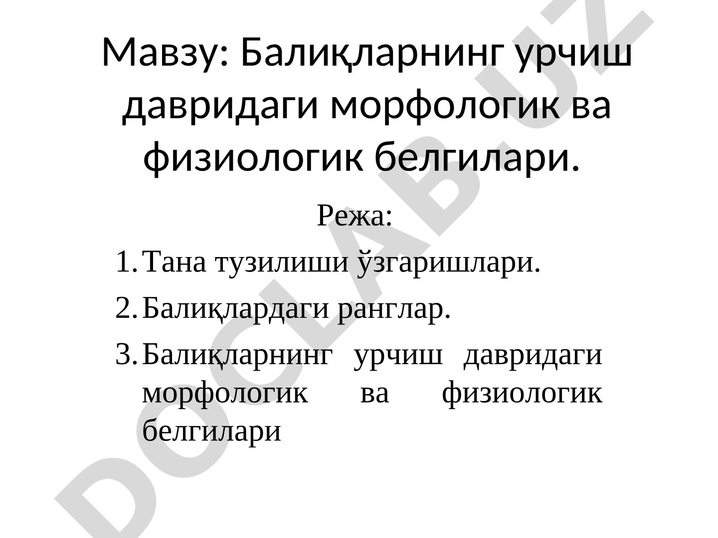 Балиқларнинг урчиш давридаги морфологик ва физиологик белгилари