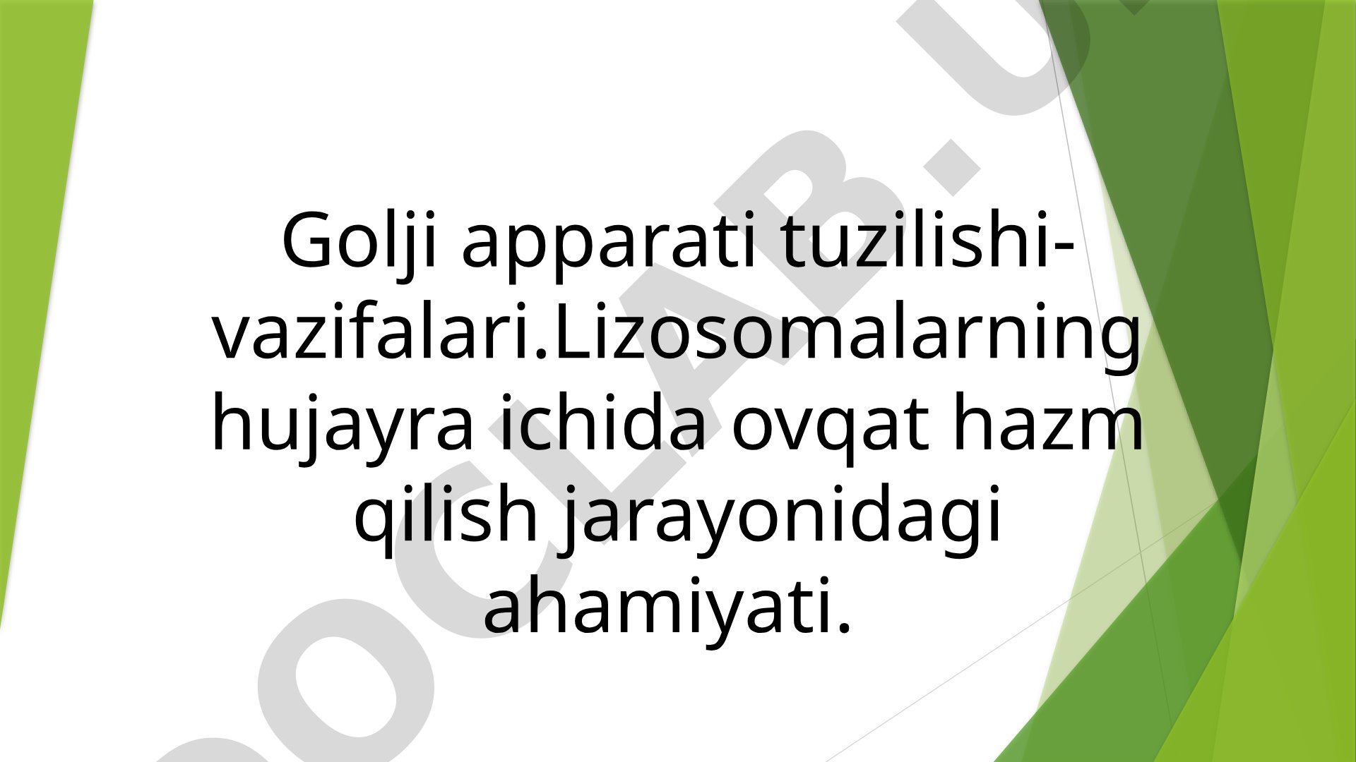 Golji apparati tuzilishi va vazifalari