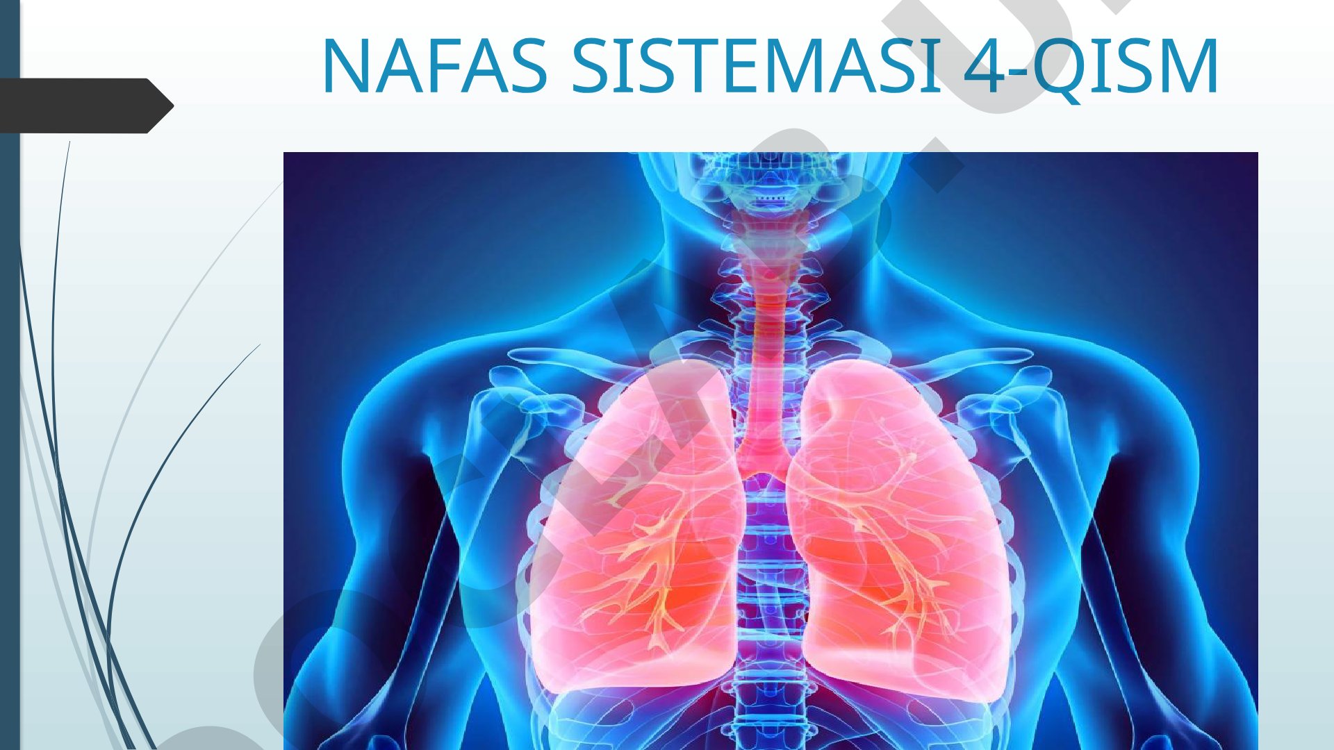Nafas sistemasida gazlar almashinuvi