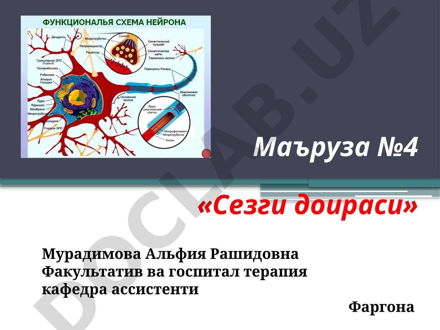 Сезги доираси
