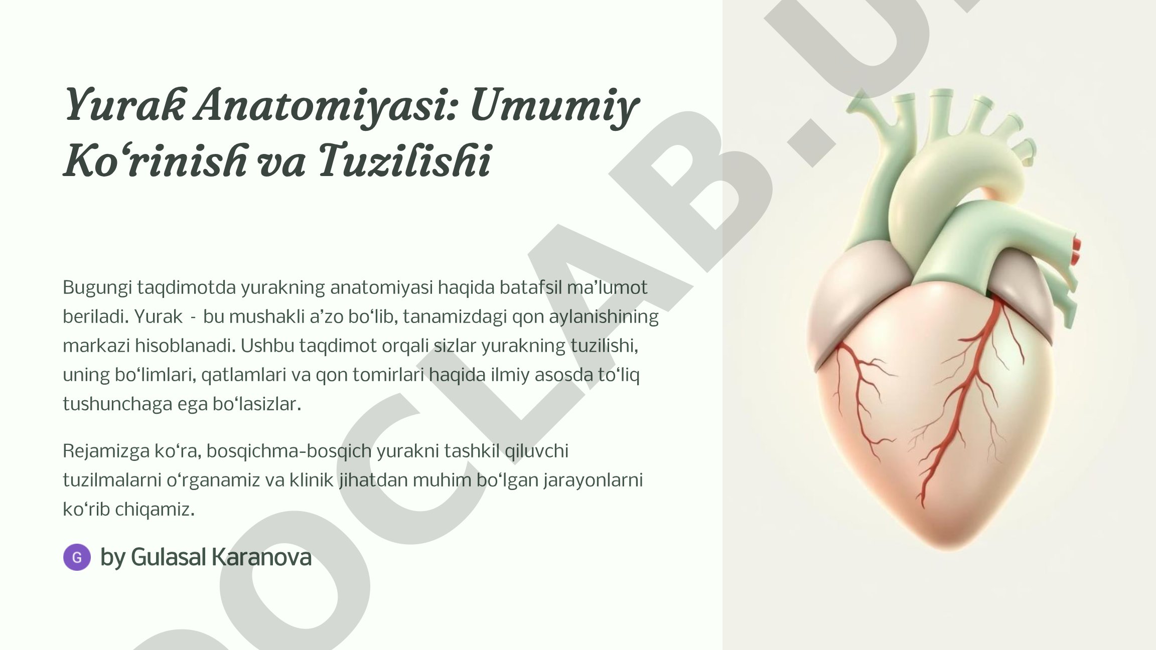 Yurak Anatomiyasi: Umumiy Ko‘rinish va Tuzilishi