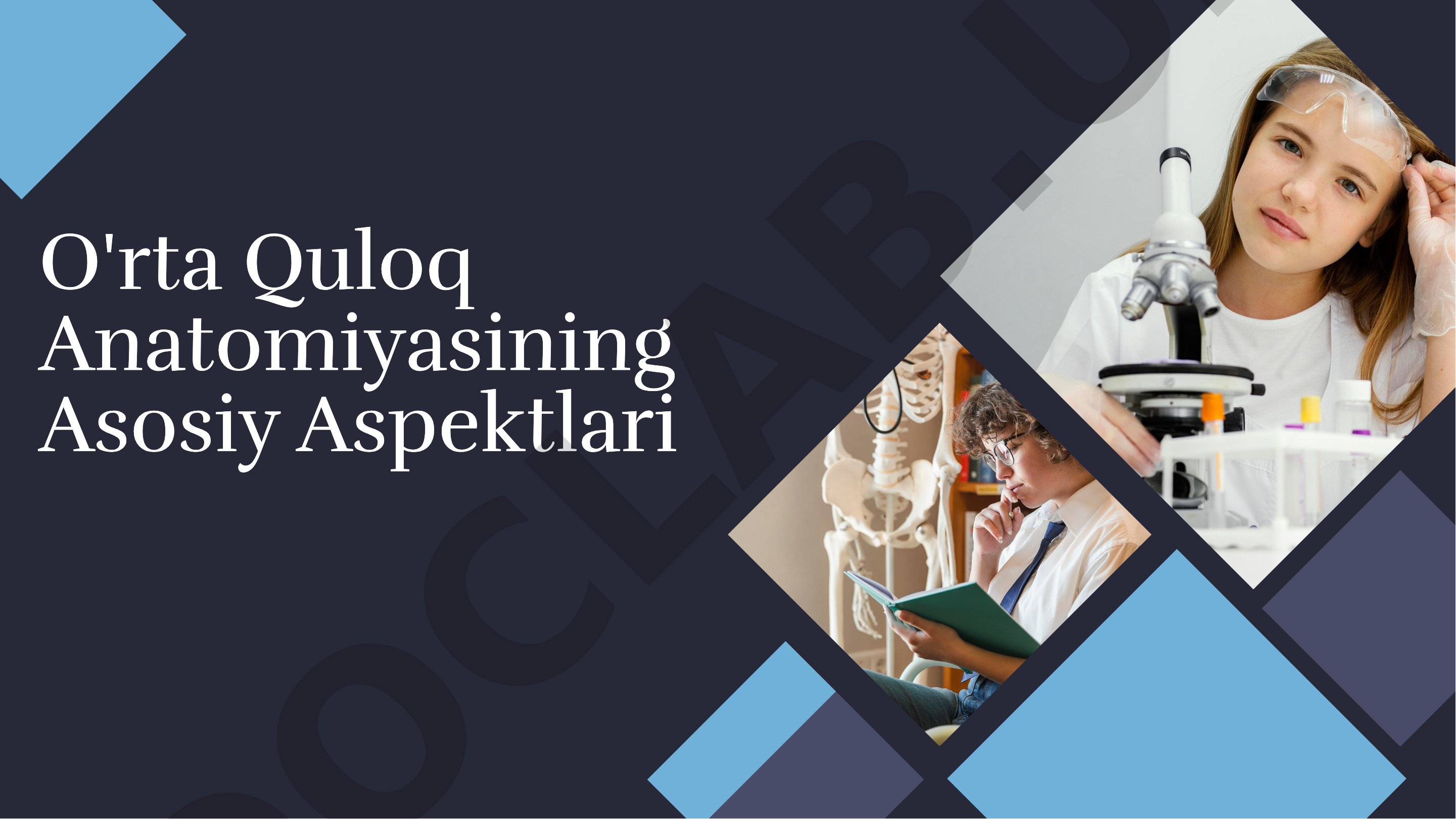 O'rta Quloq Anatomiyasining Asosiy Aspektlari