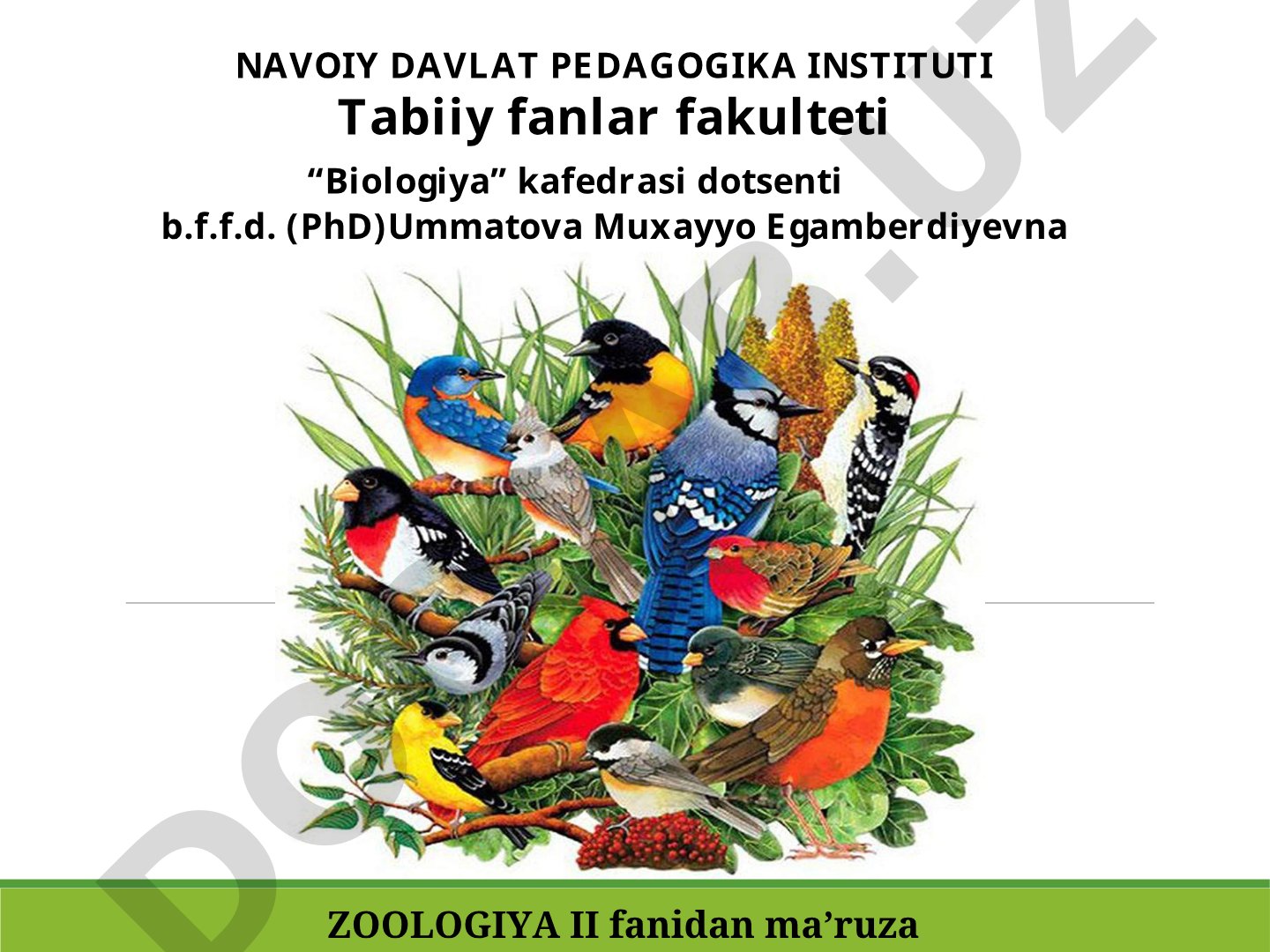 Qushlar sinfining sistematikasi