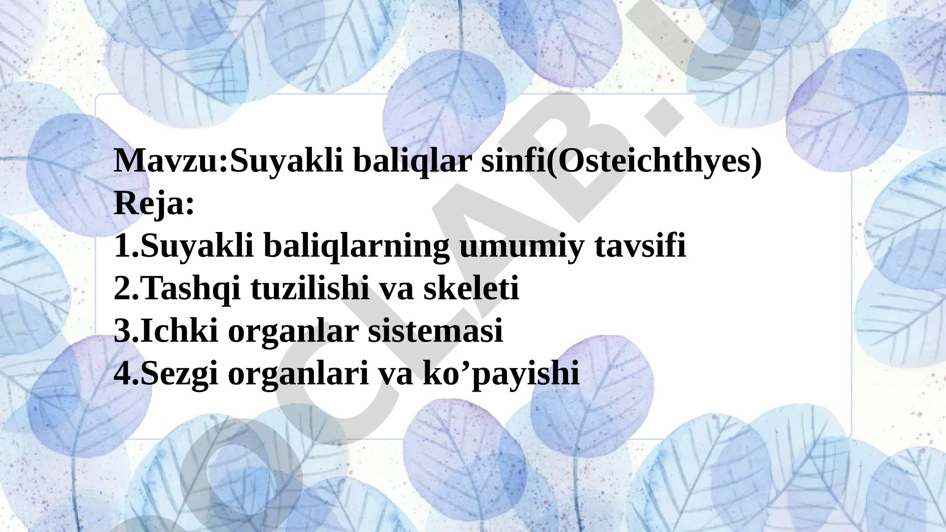 Suyakli baliqlar sinfi (Osteichthyes)