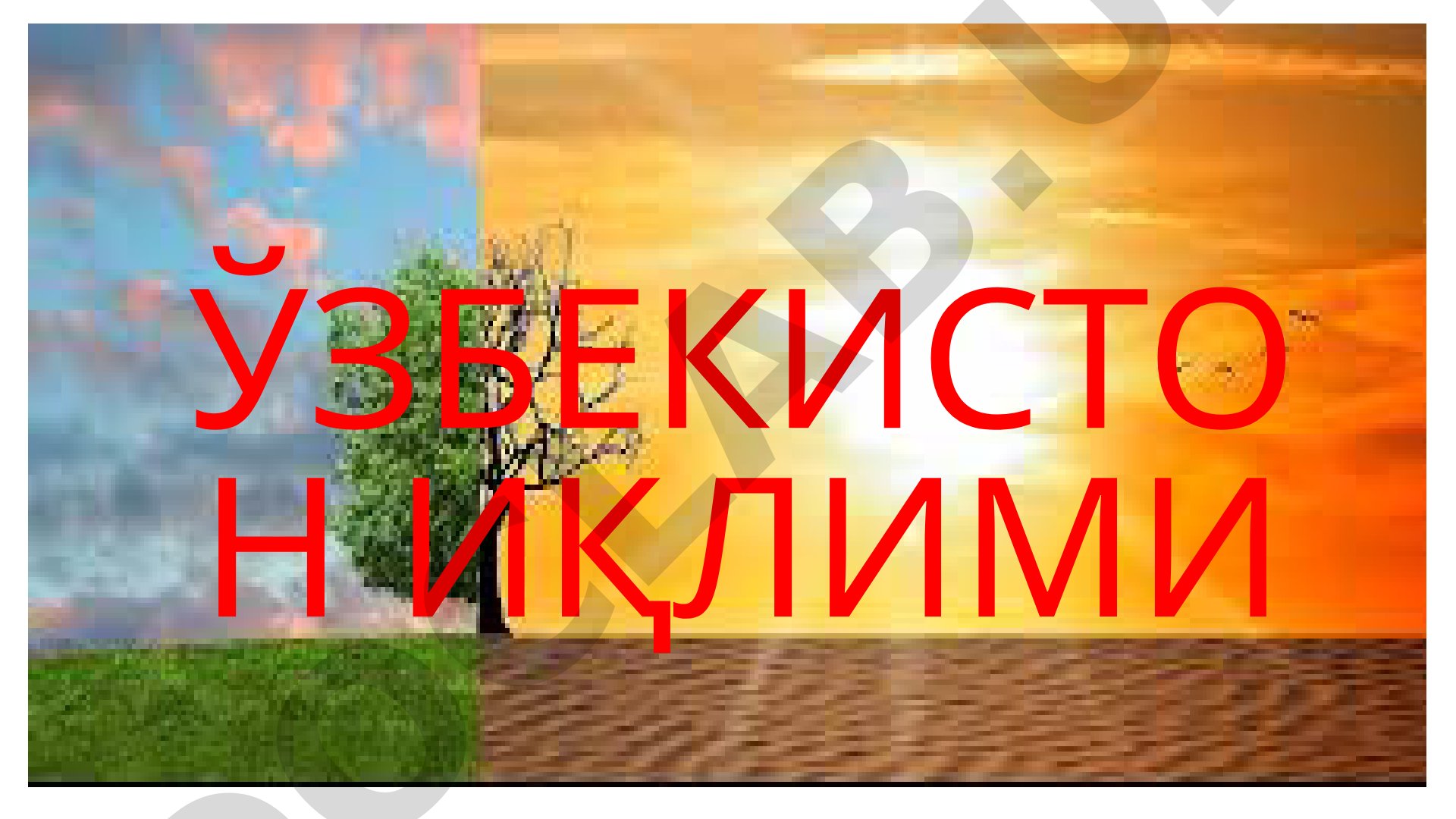 O'zbekiston iqlimi