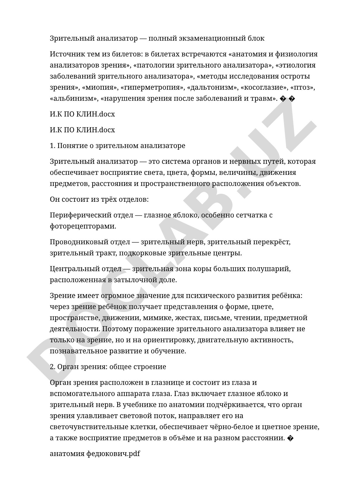 Зрительный анализатор: анатомия, физиология и патологии