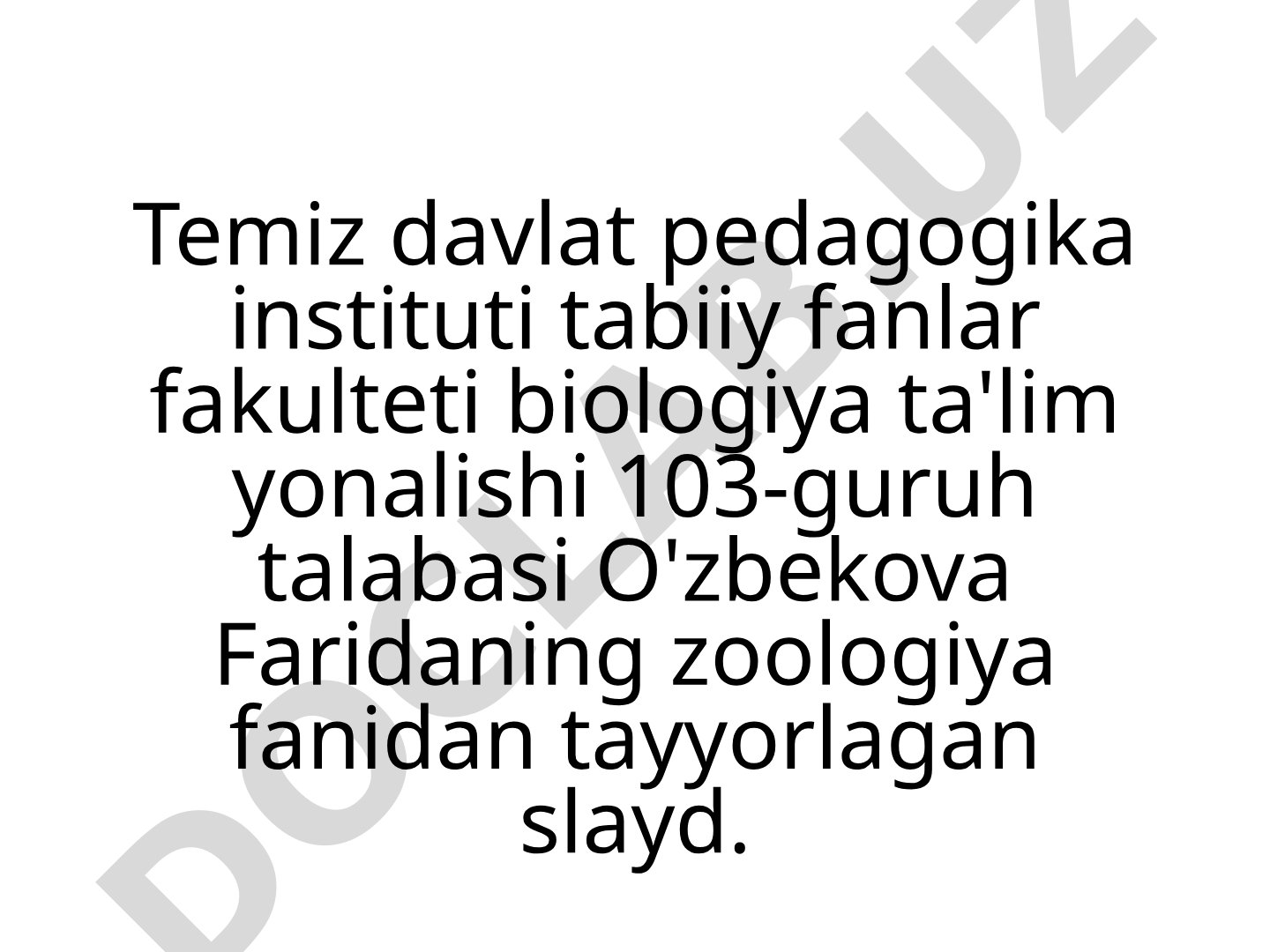 Gnatiferalar (Gnathifera) katta tipining umumiy tavsifi