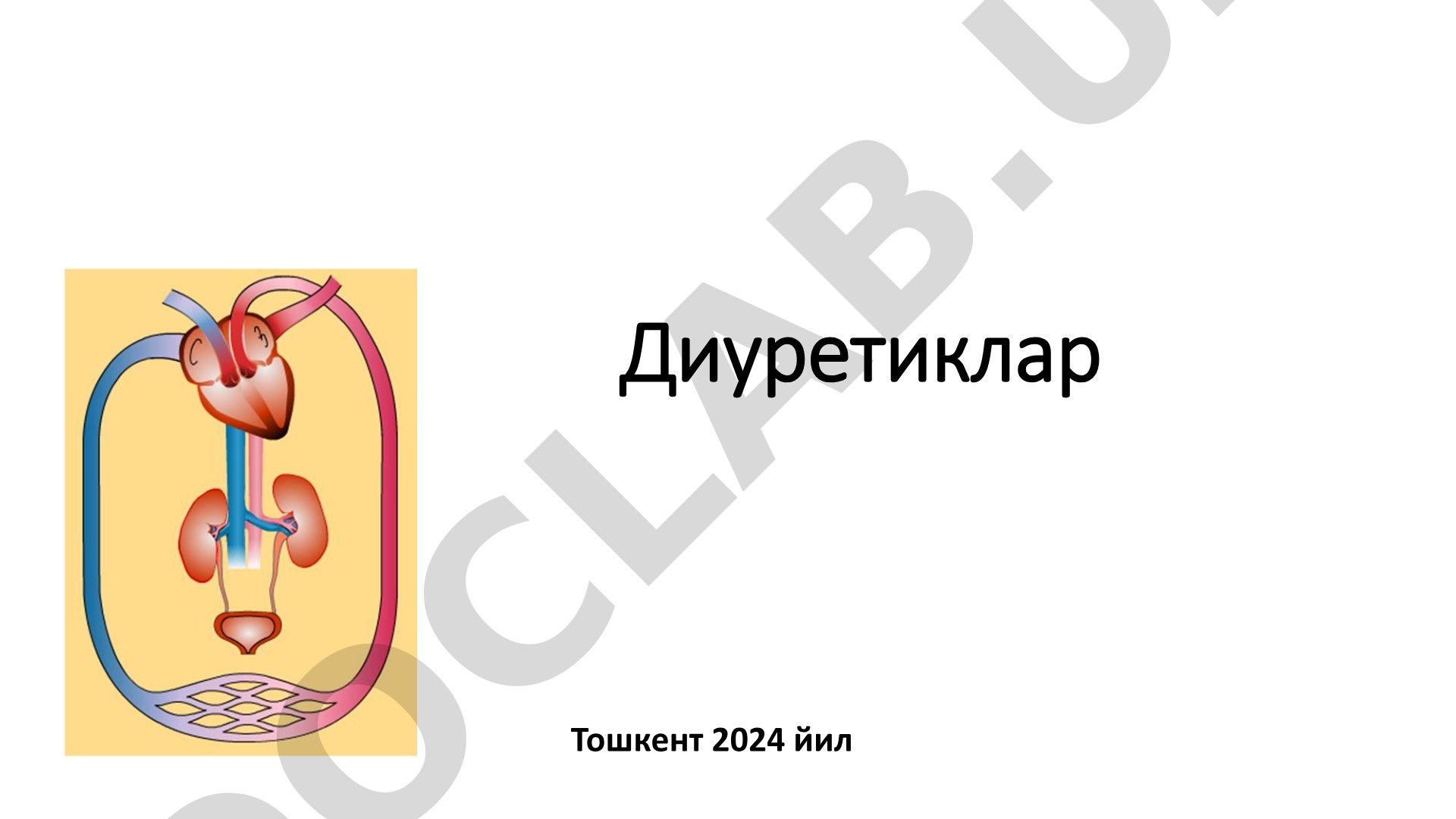 Диуретикларнинг таснифи, таъсир механизми ва қўлланилиши