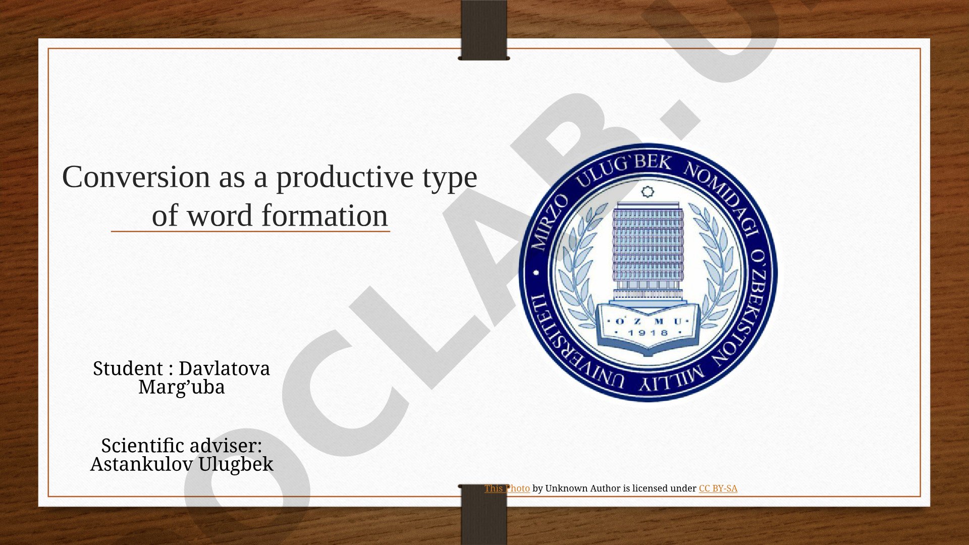 Conversion as a productive type of word formation