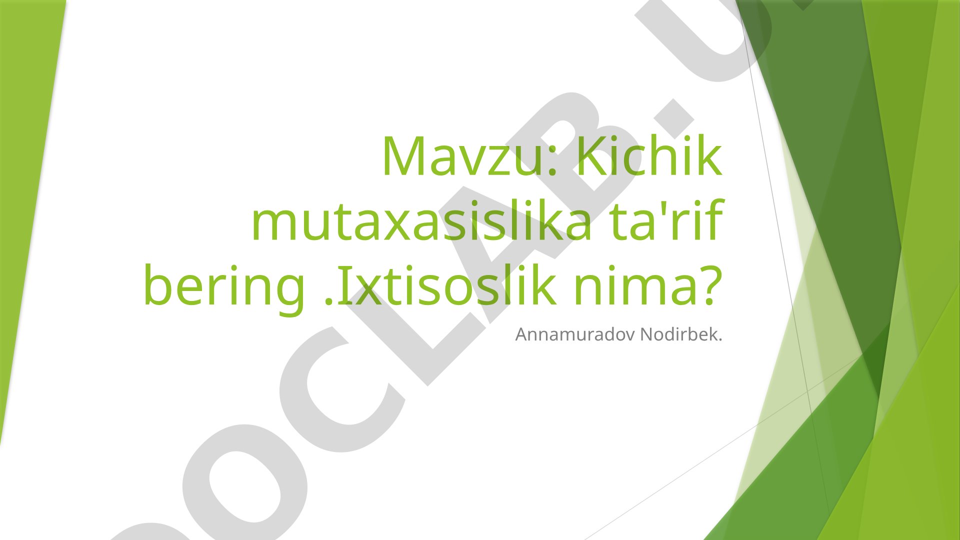 Kichik mutaxasislikka ta'rif bering. Ixtisoslik nima?