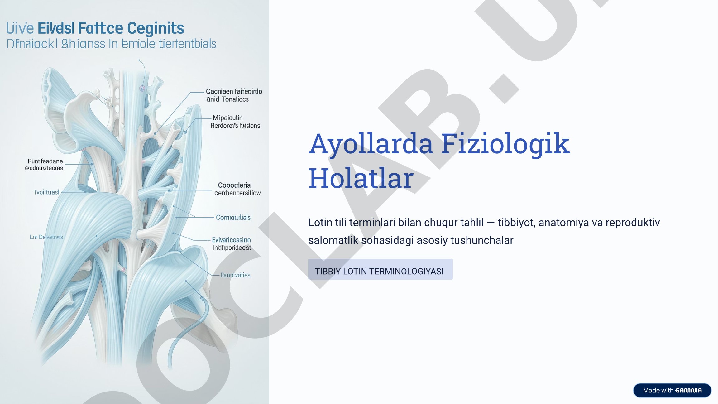 Ayollarda fiziologik holatlar lotin terminologiyasi