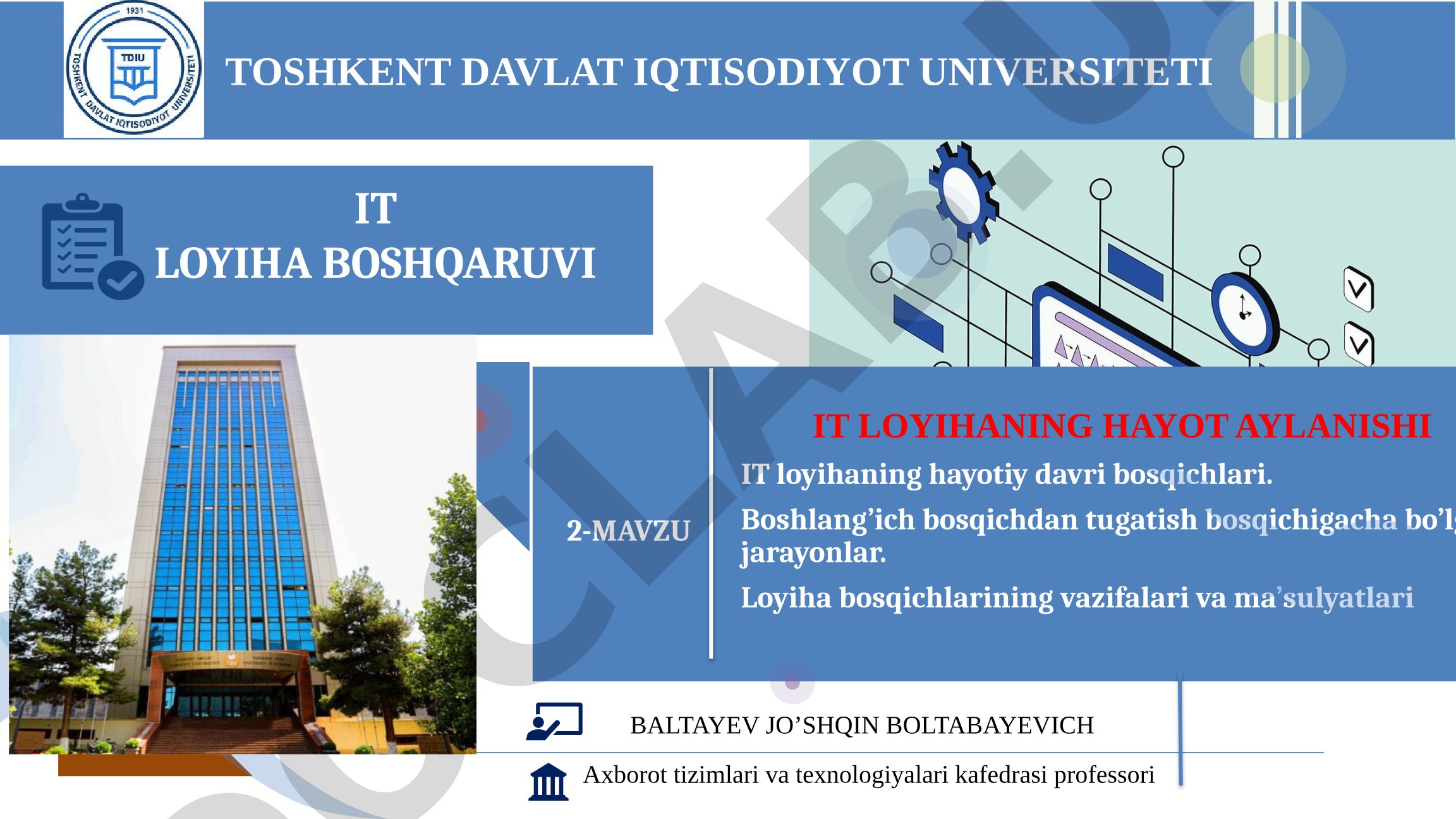 IT loyihaning hayot aylanishi