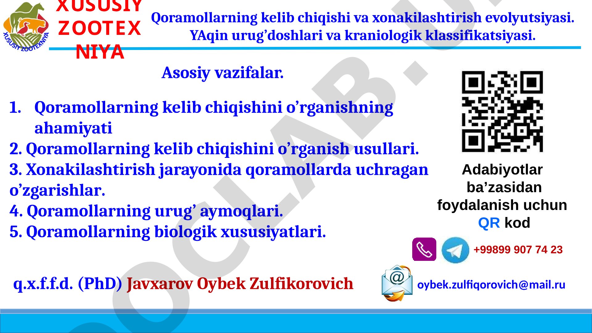 Qoramollarning kelib chiqishi va xonakilashtirish evolyutsiyasi