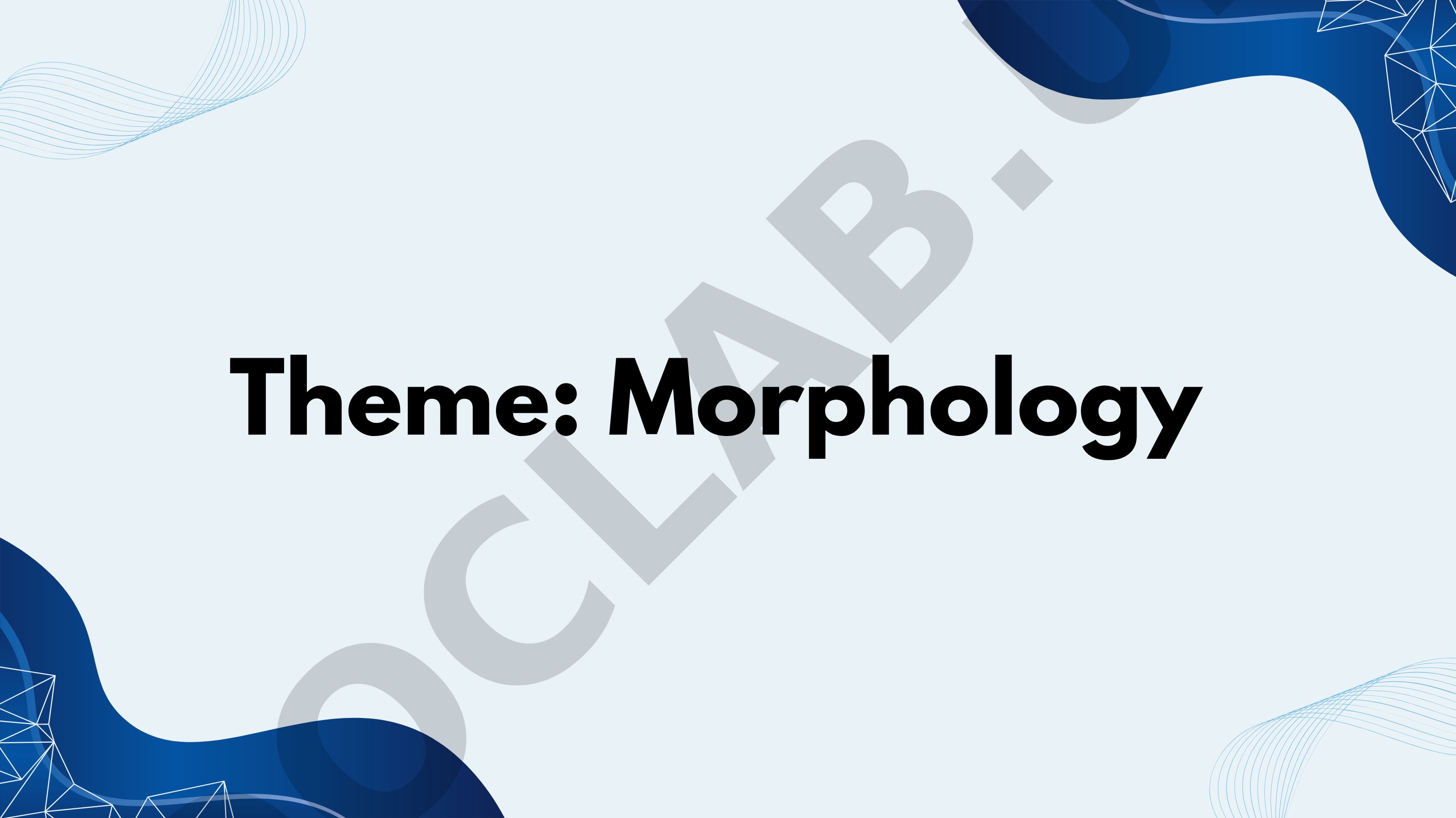 Morphology is the branch of linguistics that studies the internal structure of words and