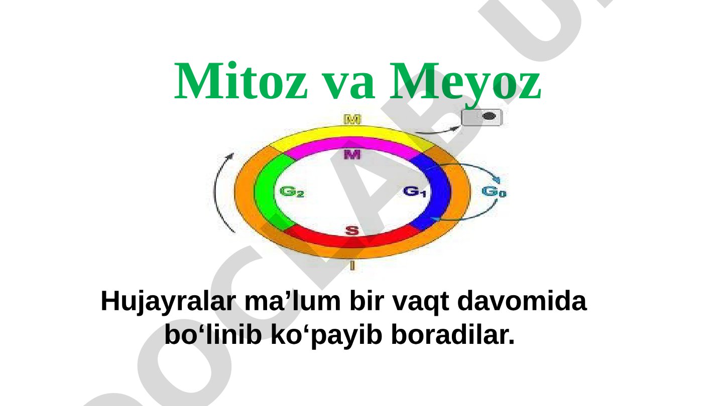 Hujayra hayot aylanishi, mitoz va meyoz bo‘linish jarayonlari haqida