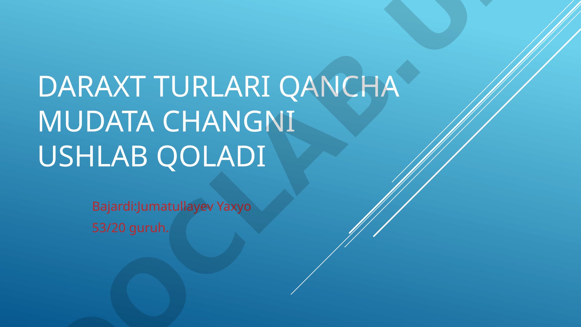 Daraxt turlari qancha mudata changni ushlab qoladi