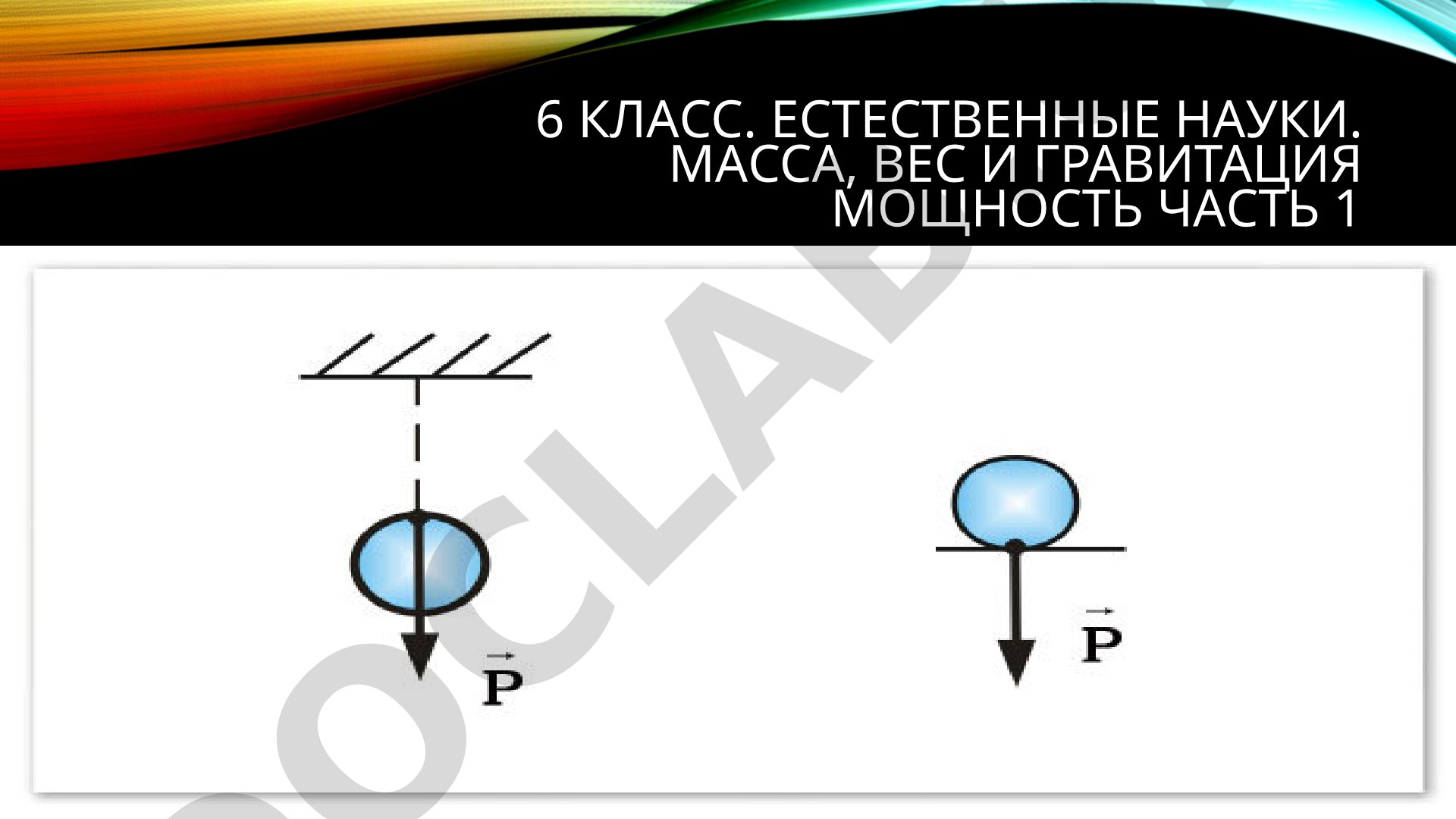 Масса, вес и гравитация