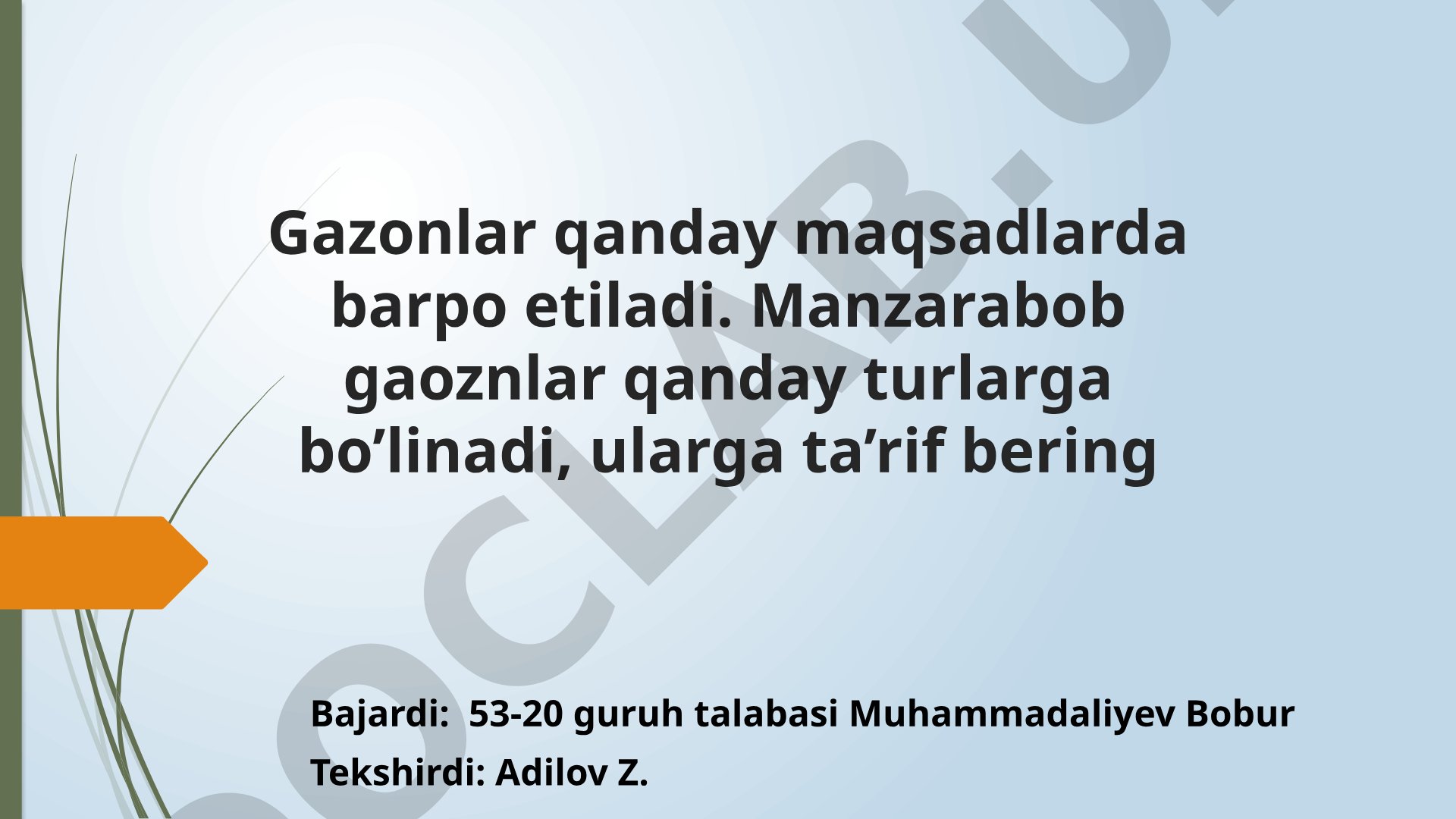 Gazonlar qanday maqsadlarda barpo etiladi