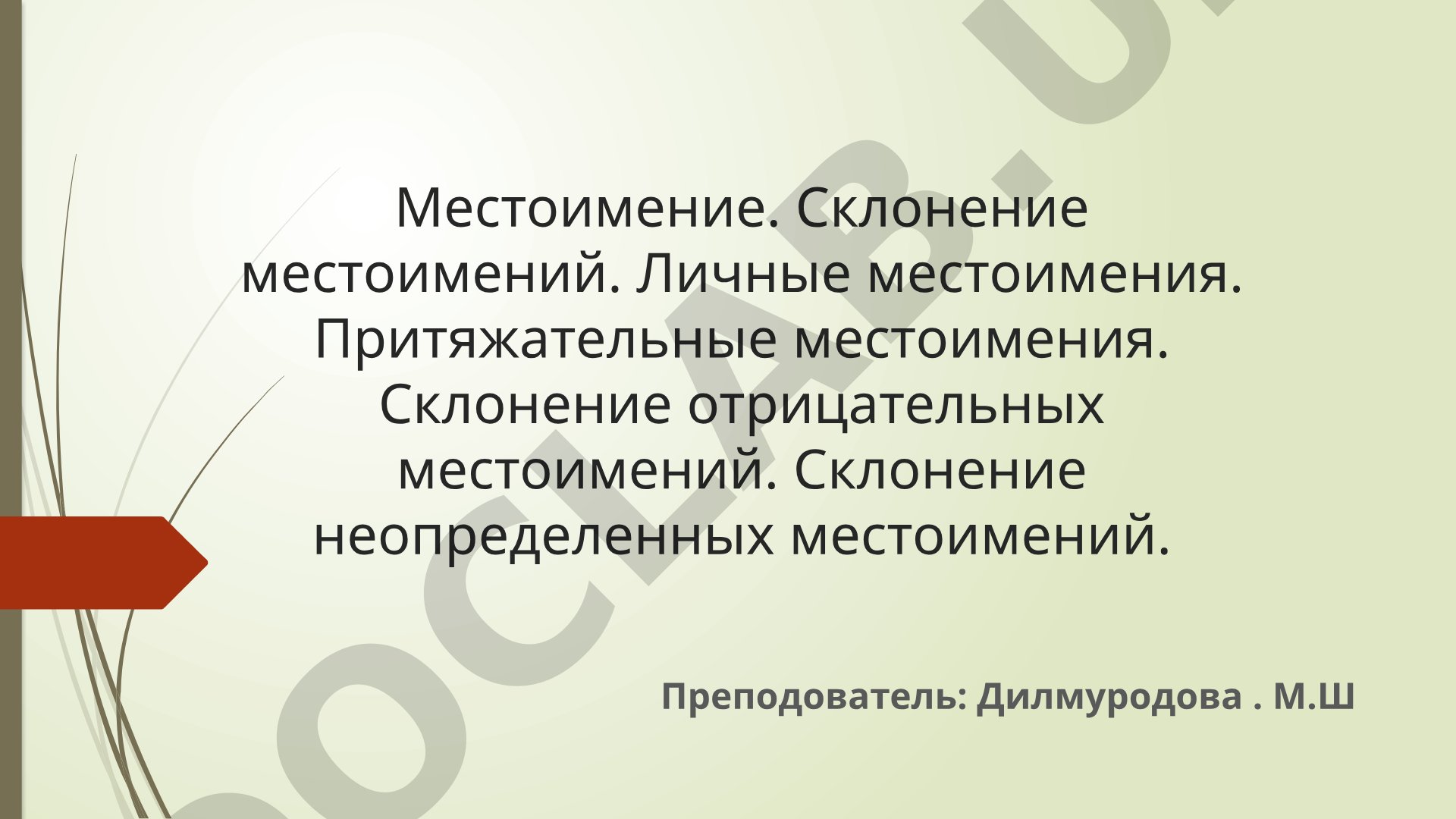 Местоимение. Склонение местоимений