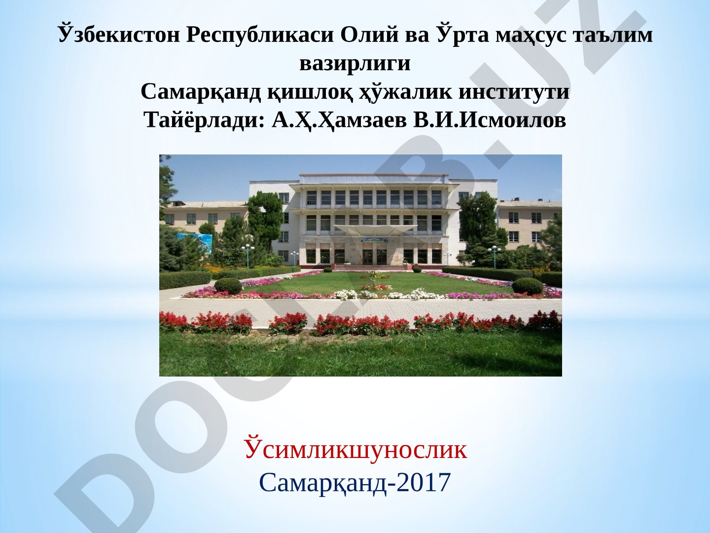 Қўнғирбошли ем-хашак ўтлари аҳамияти. Мастак биологияси ва етиштириш технологияси