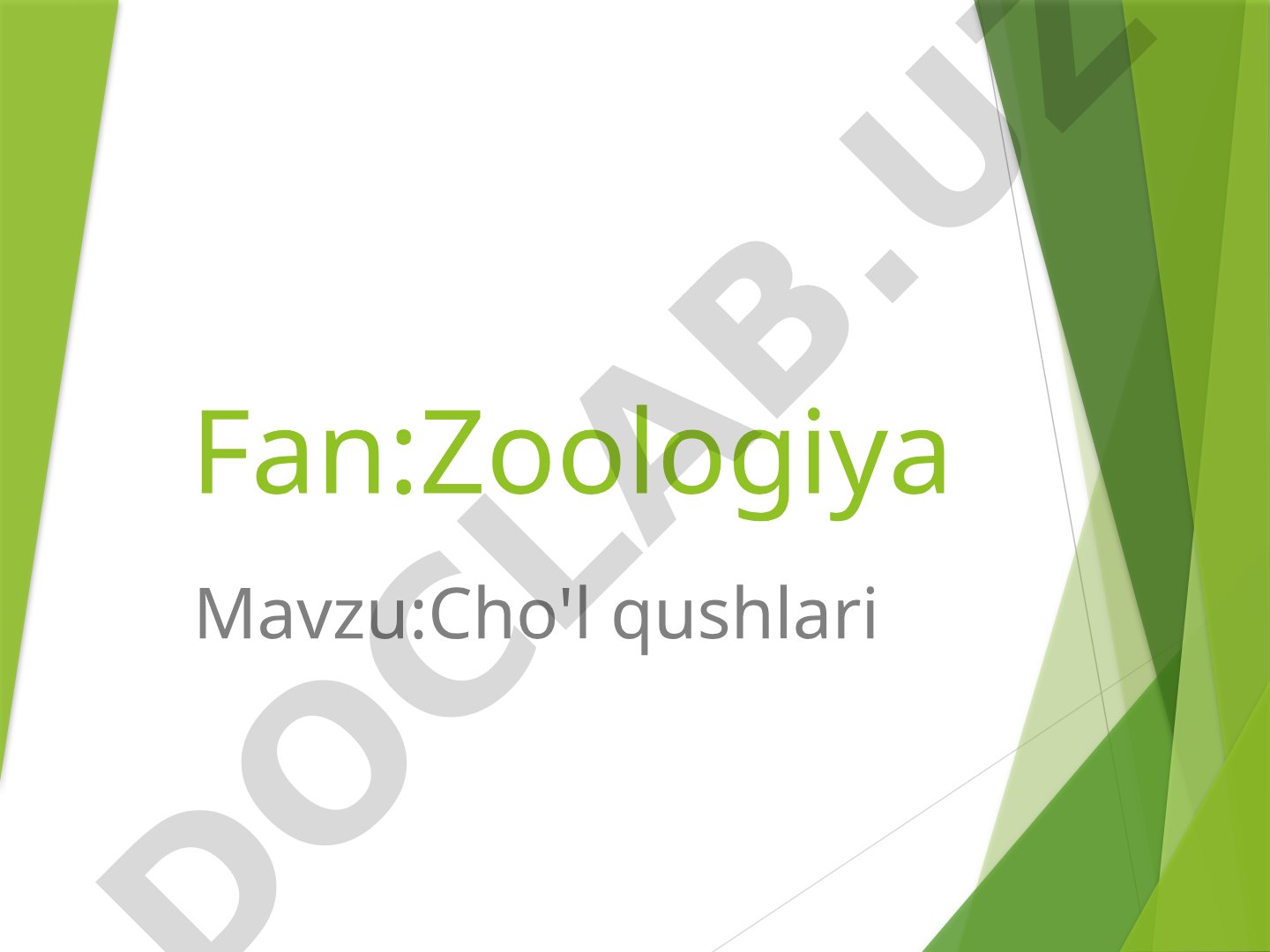 Cho'l qushlari