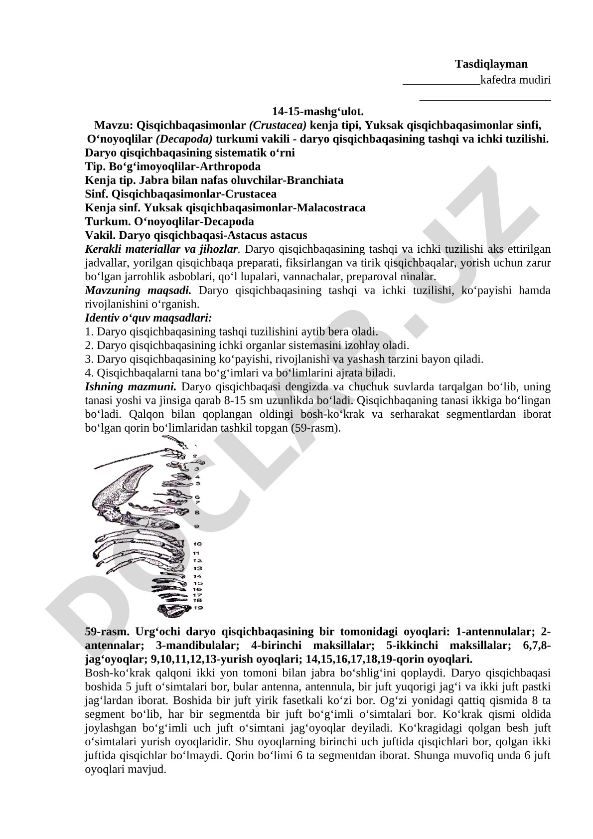Daryo qisqichbaqasining tashqi va ichki tuzilishi