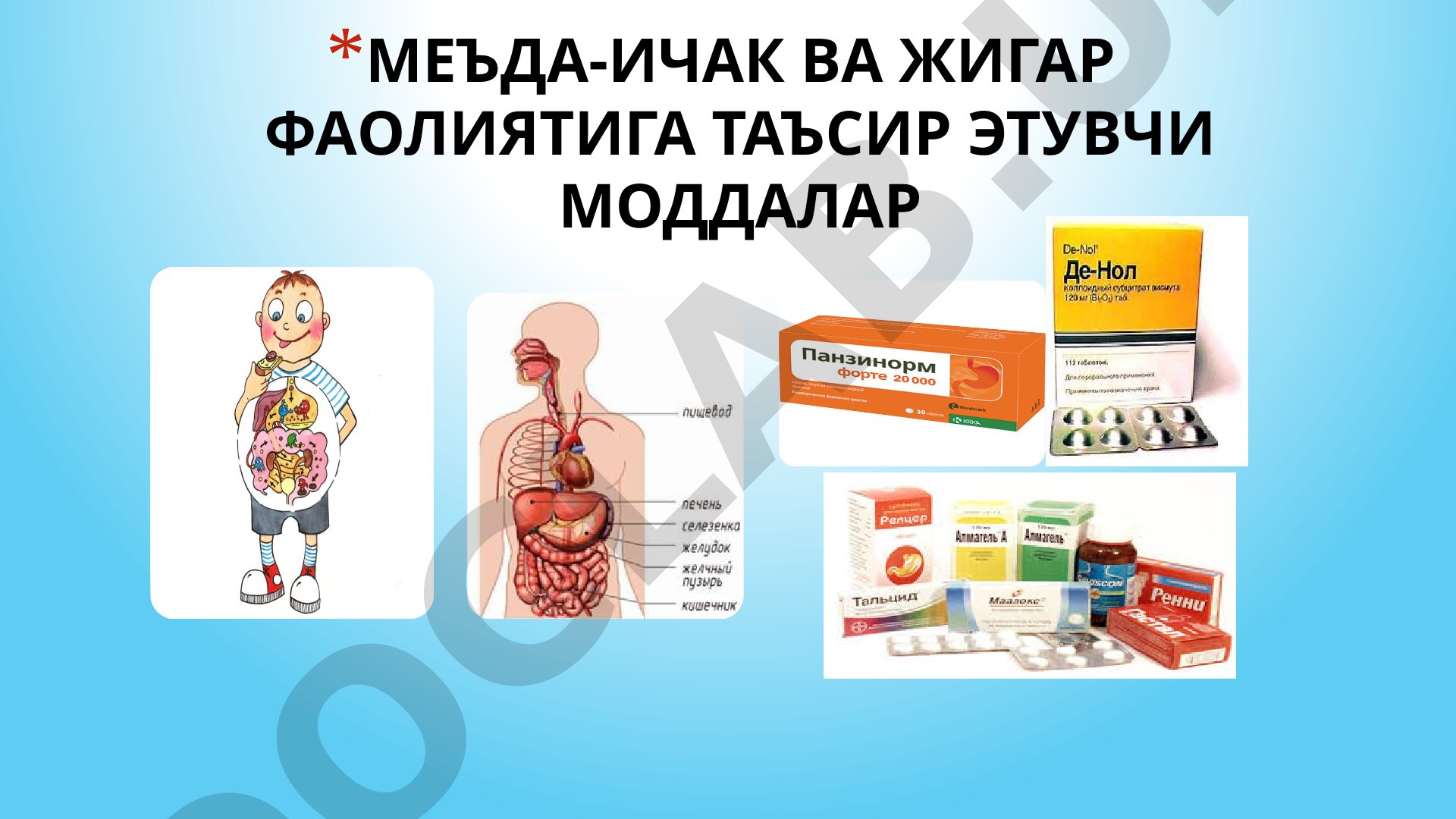 Меъда-ичак ва жигар фаолиятига таъсир этувчи моддалар