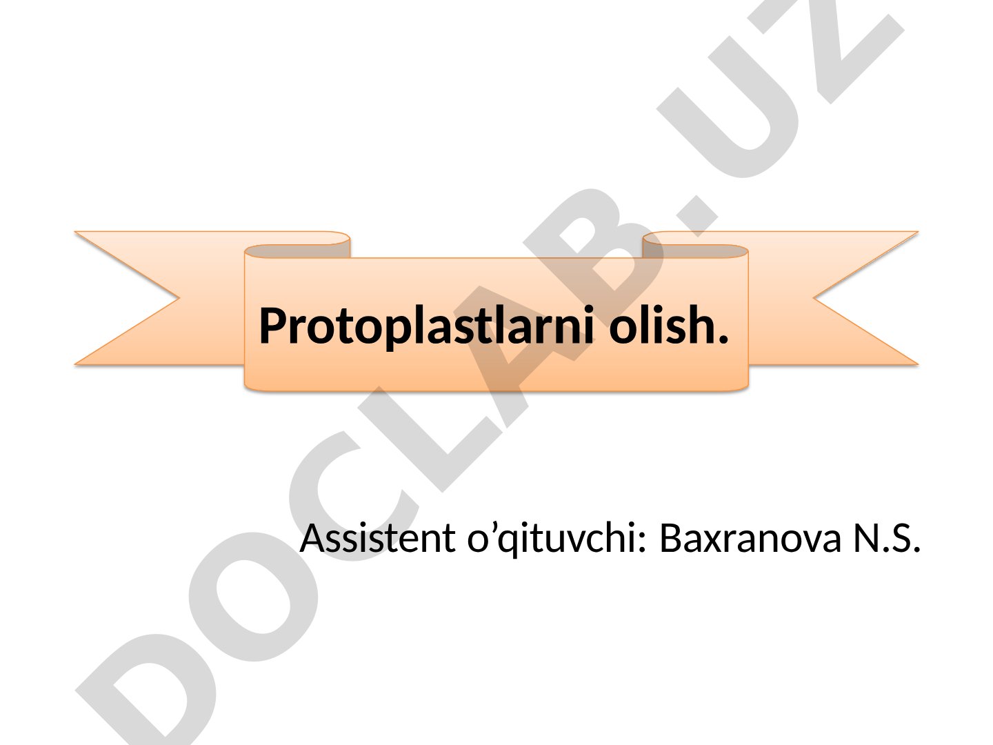 Protoplastlarni olish