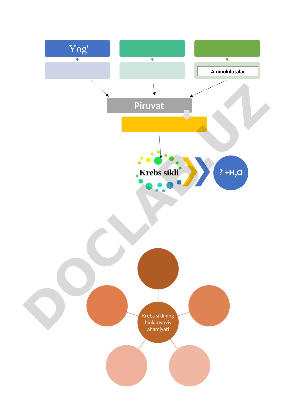 Aminokilotalar Fermentlarni to'ldiring