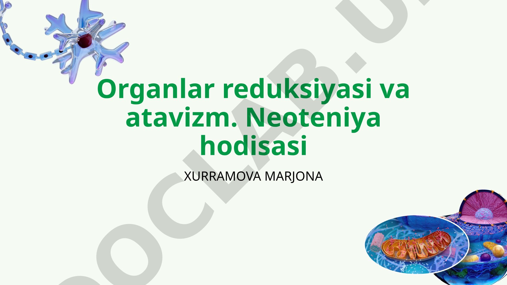 Organlar reduksiyasi va atavizm. Neoteniya hodisasi