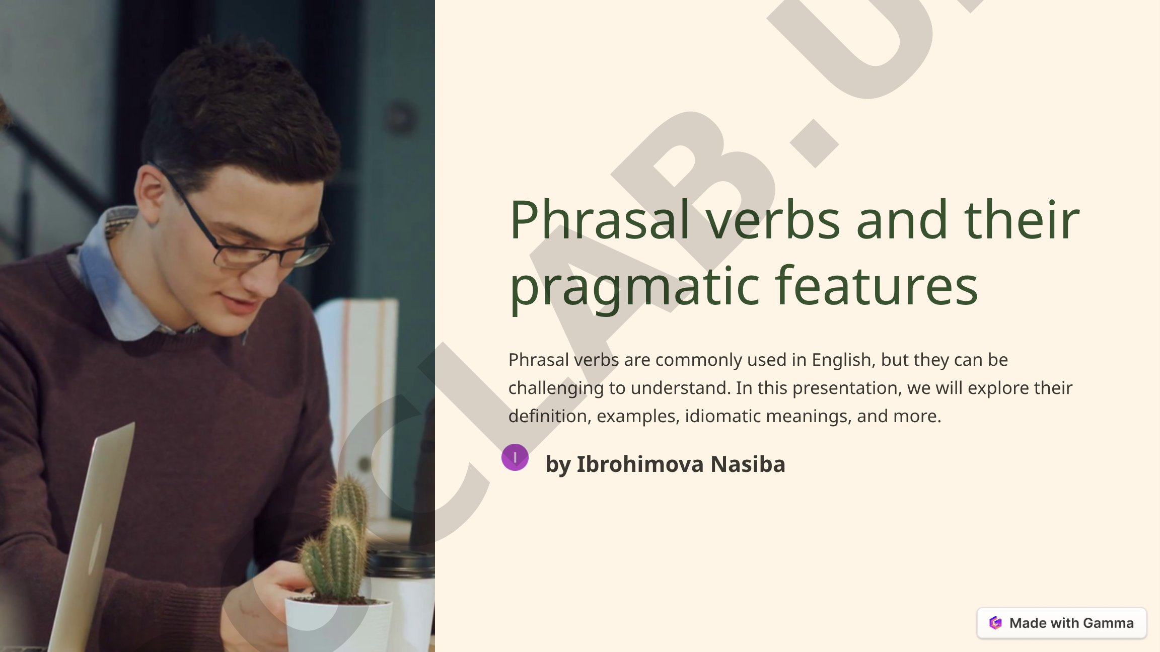 Phrasal verbs and their pragmatic features