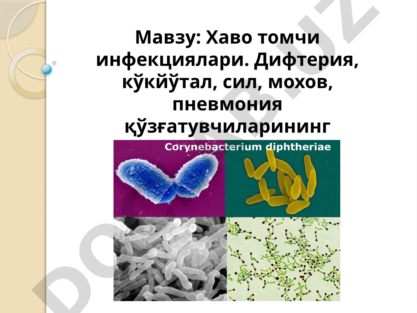 Хаво томчи инфекциялари. Дифтерия, кўкйўтал, сил, мохов, пневмония қўзғатувчиларининг лаборатория ташхиси
