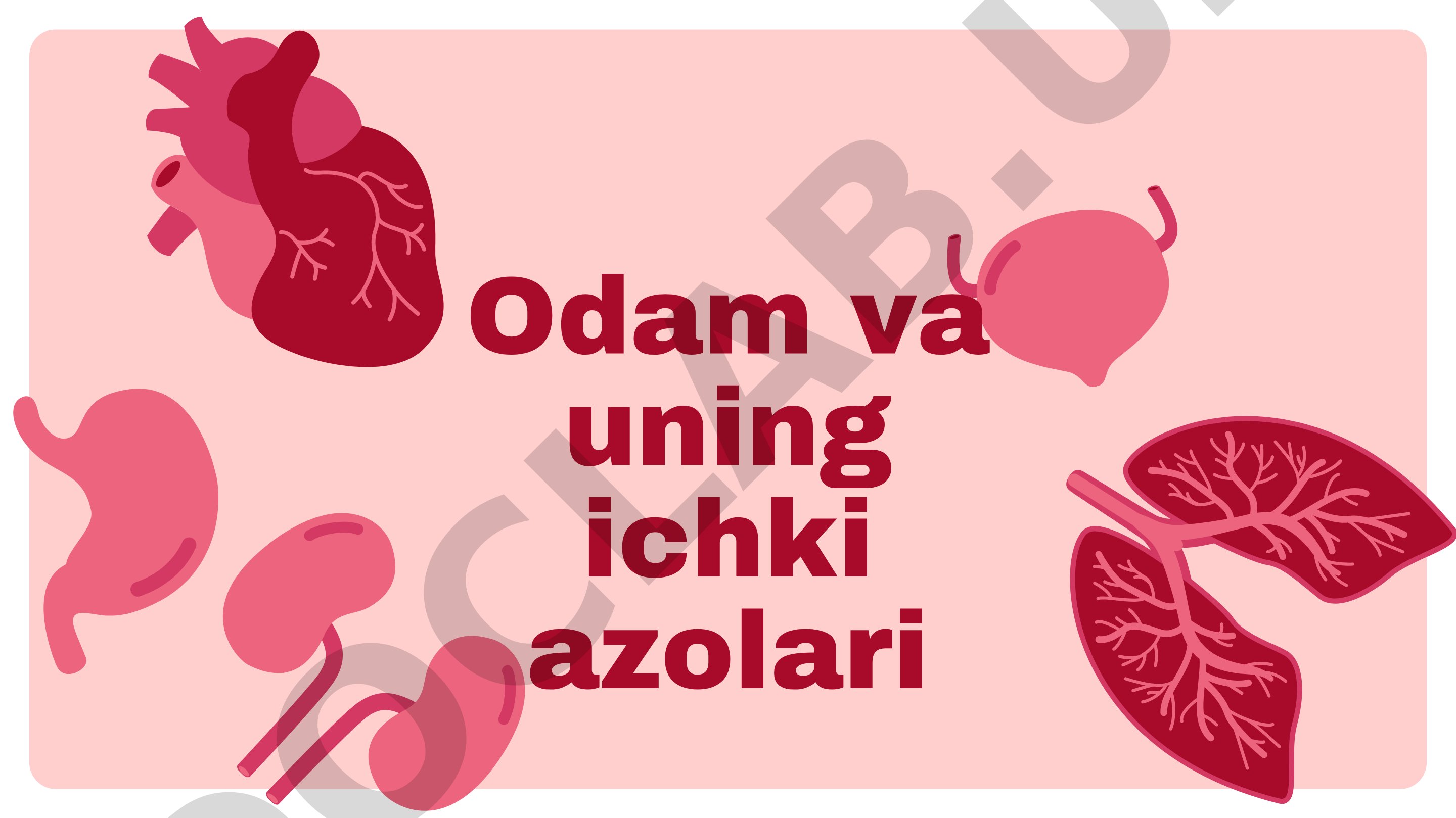 Odam va uning ichki azolari