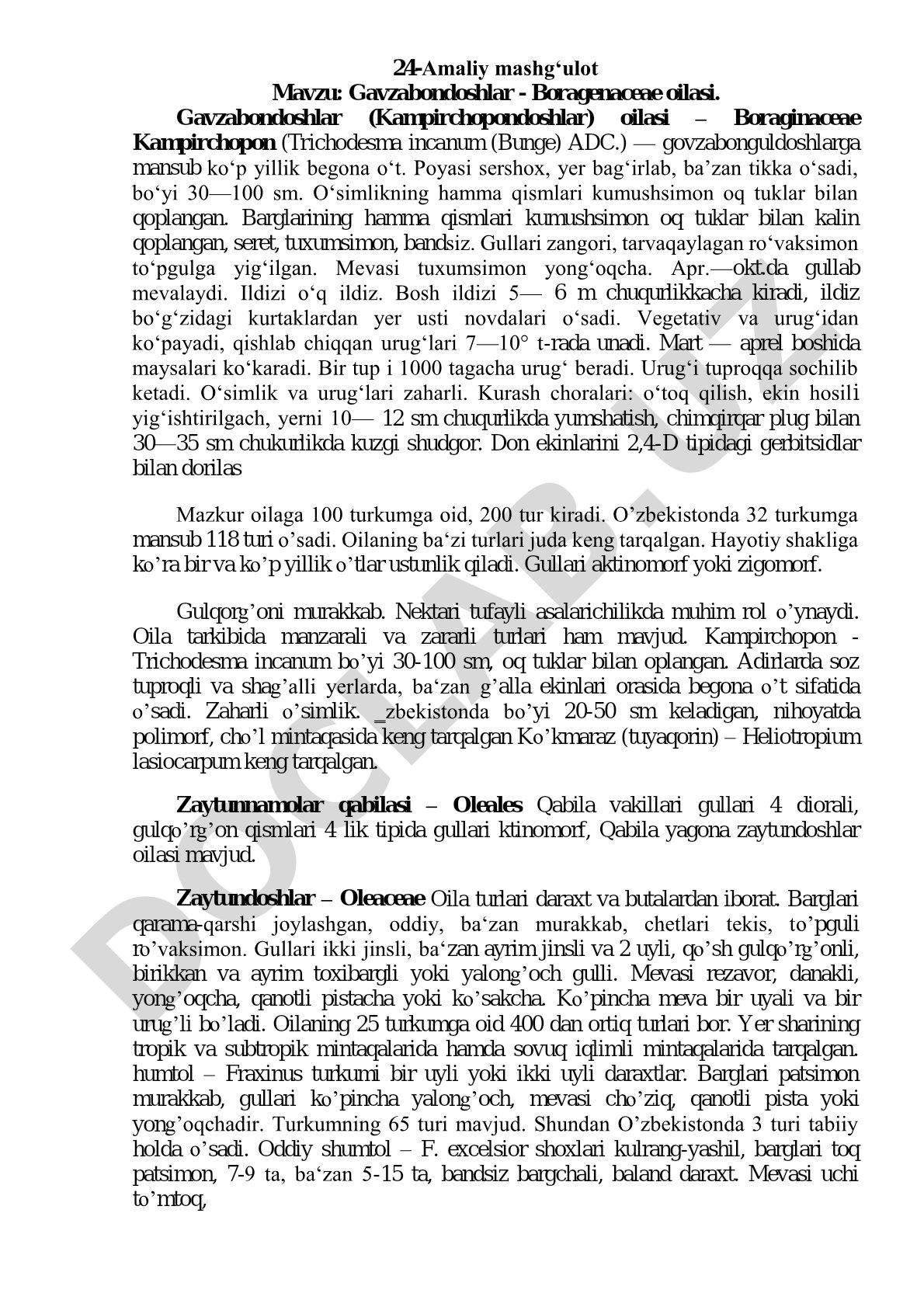 Gavzabondoshlar - Boragenaceae oilasi