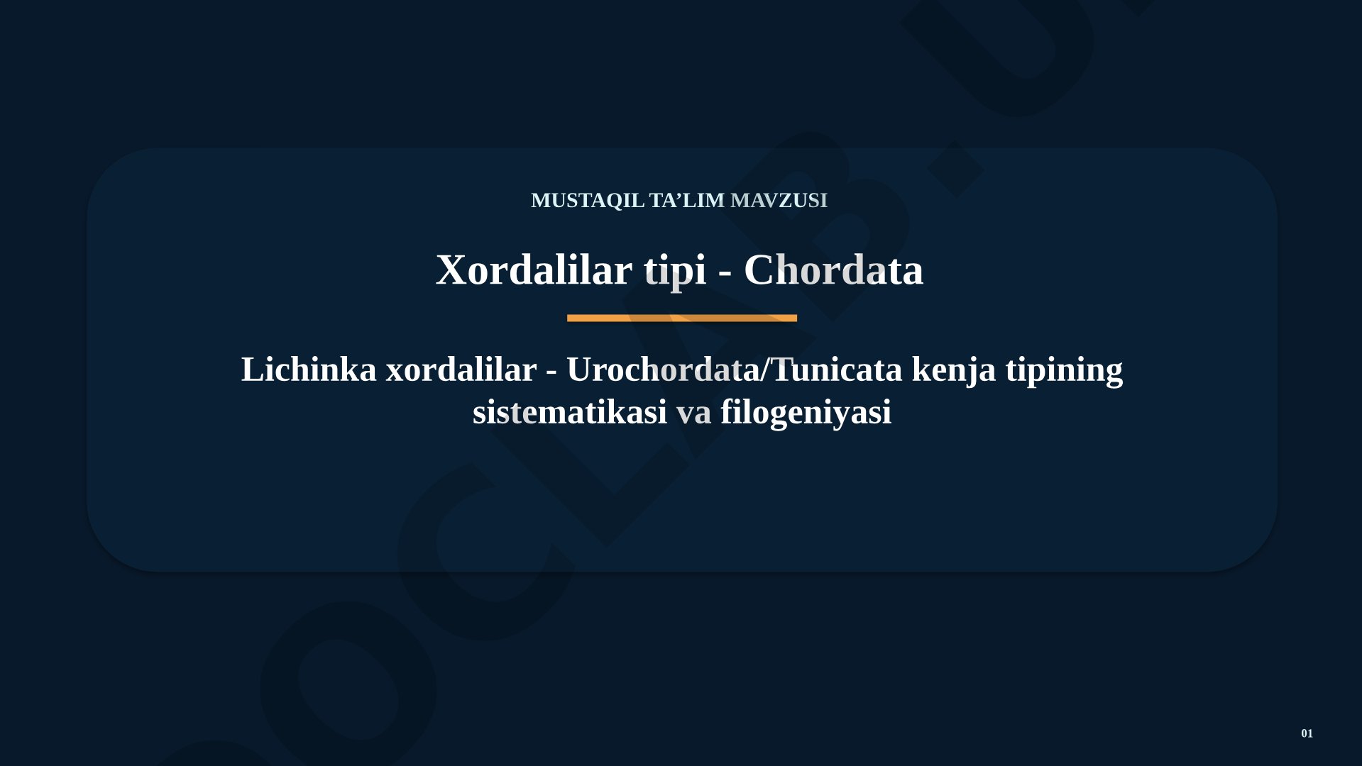 Xordalilar tipi - Chordata Lichinka xordalilar - Urochordata/Tunicata kenja tipining sistematikasi va filogeniyasi