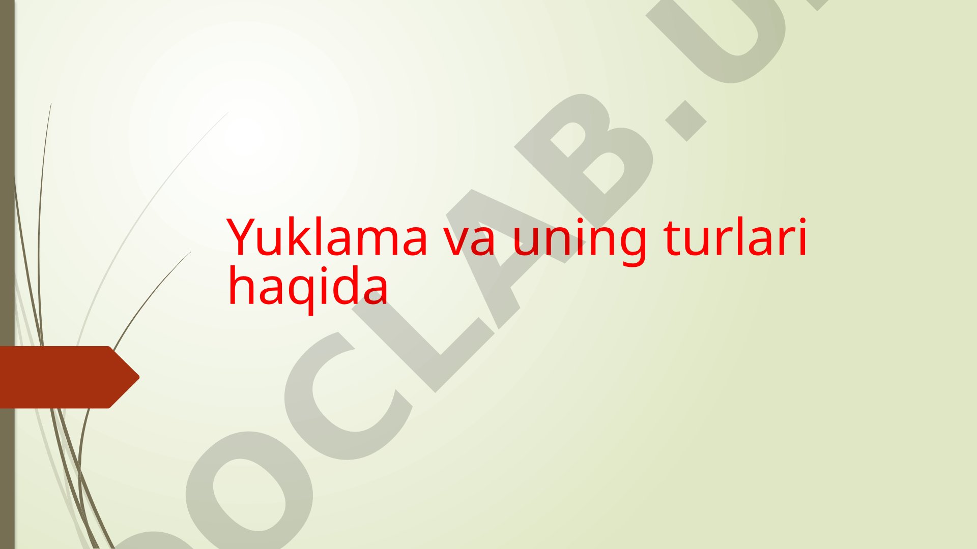 Yuklama va uning turlari haqida