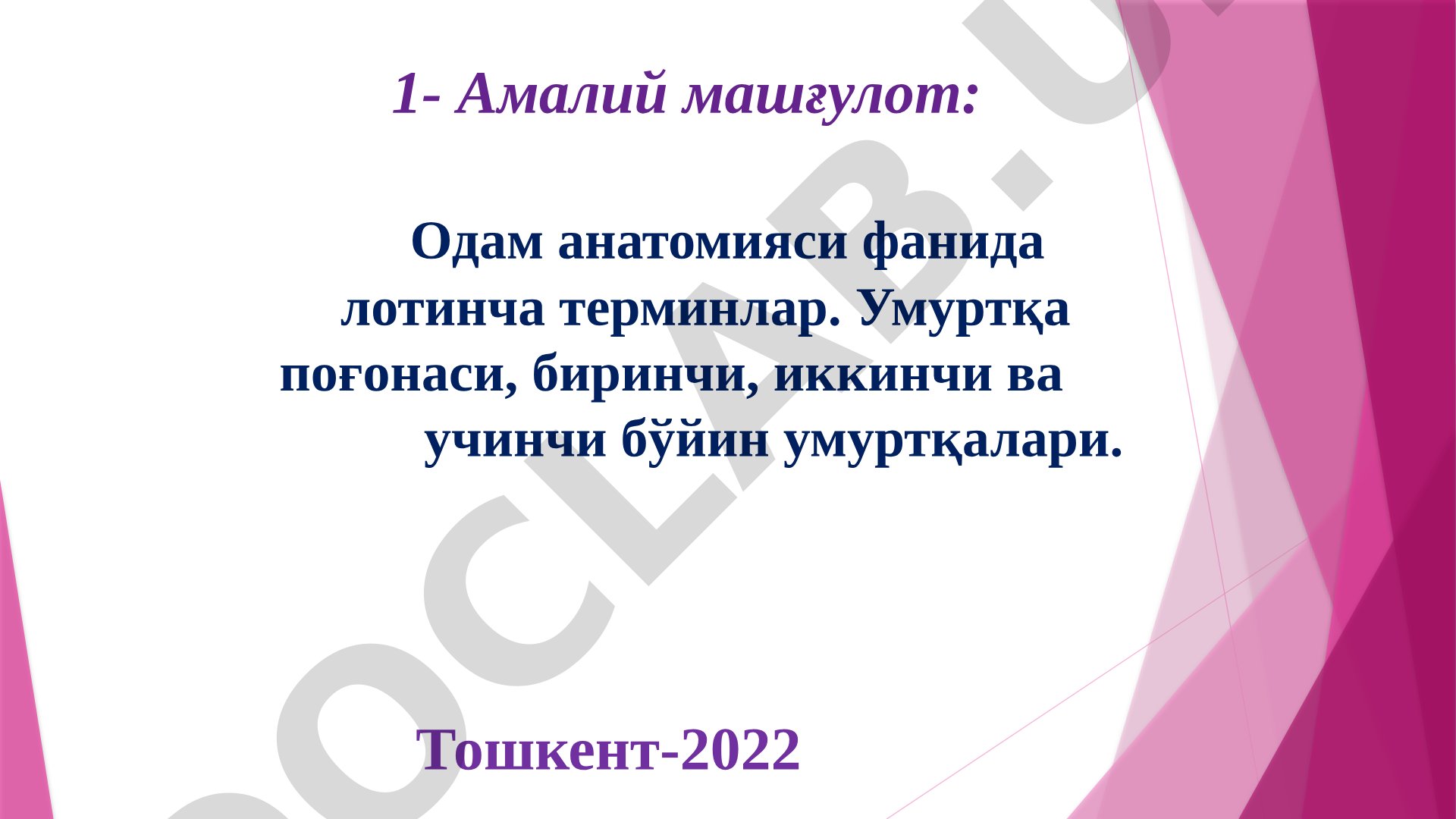 Одам анатомияси фанида лотинча терминлар. Умуртқа поғонаси, биринчи, иккинчи ва учинчи бўйин умуртқалари
