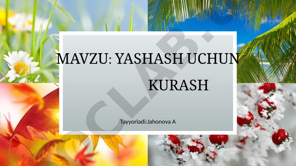Yashash uchun kurash